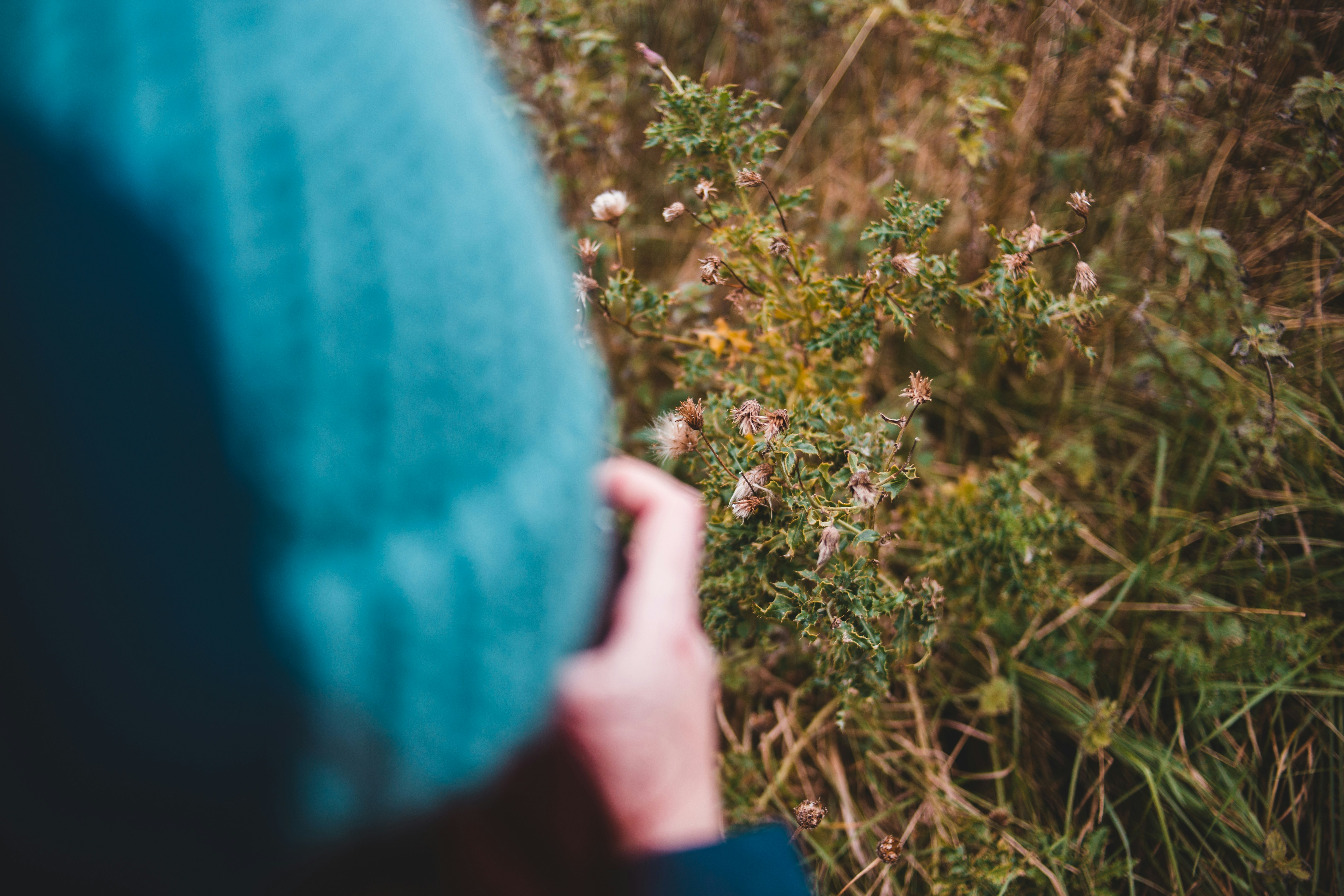 Photo by introspectivedsgn