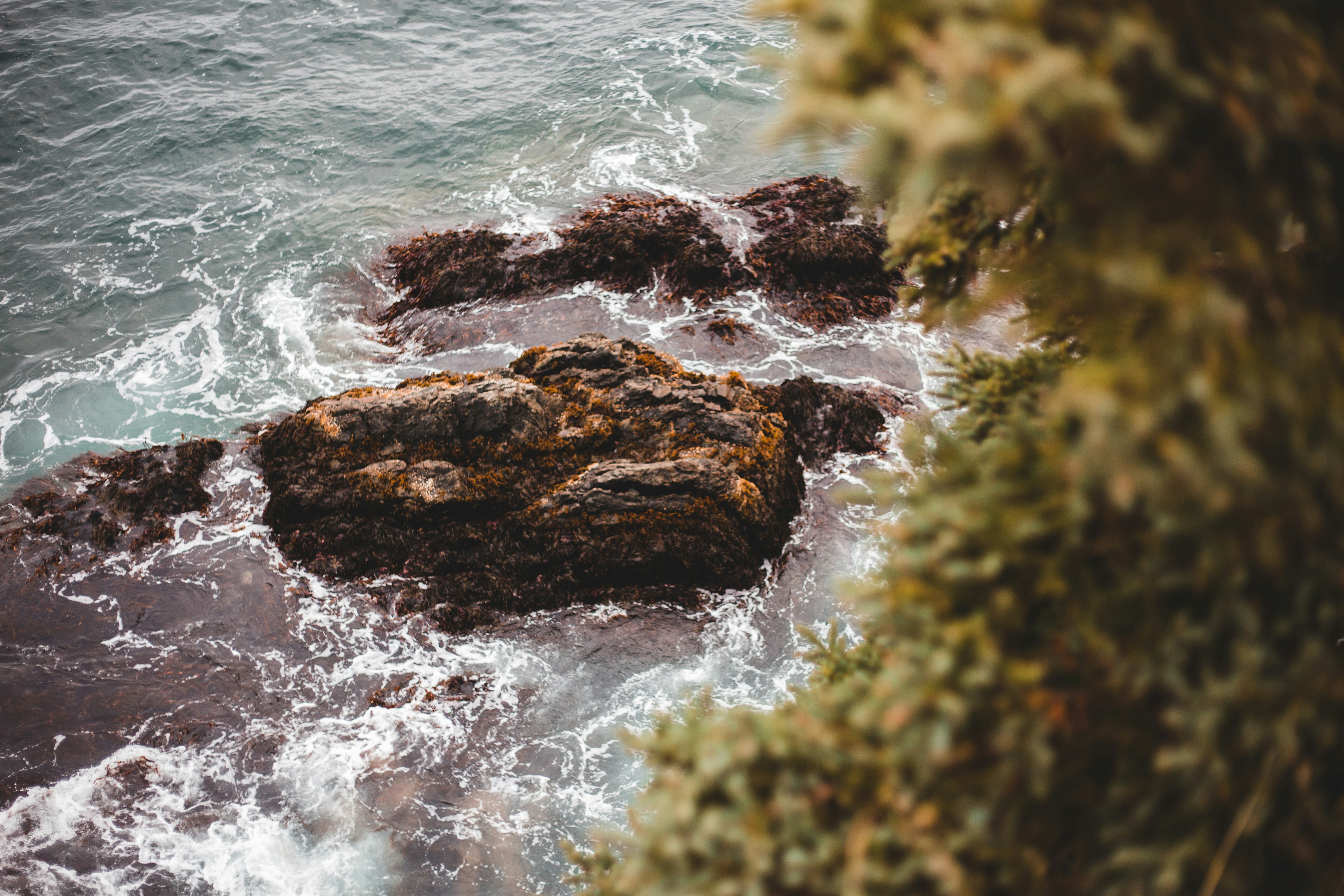 Photo by introspectivedsgn