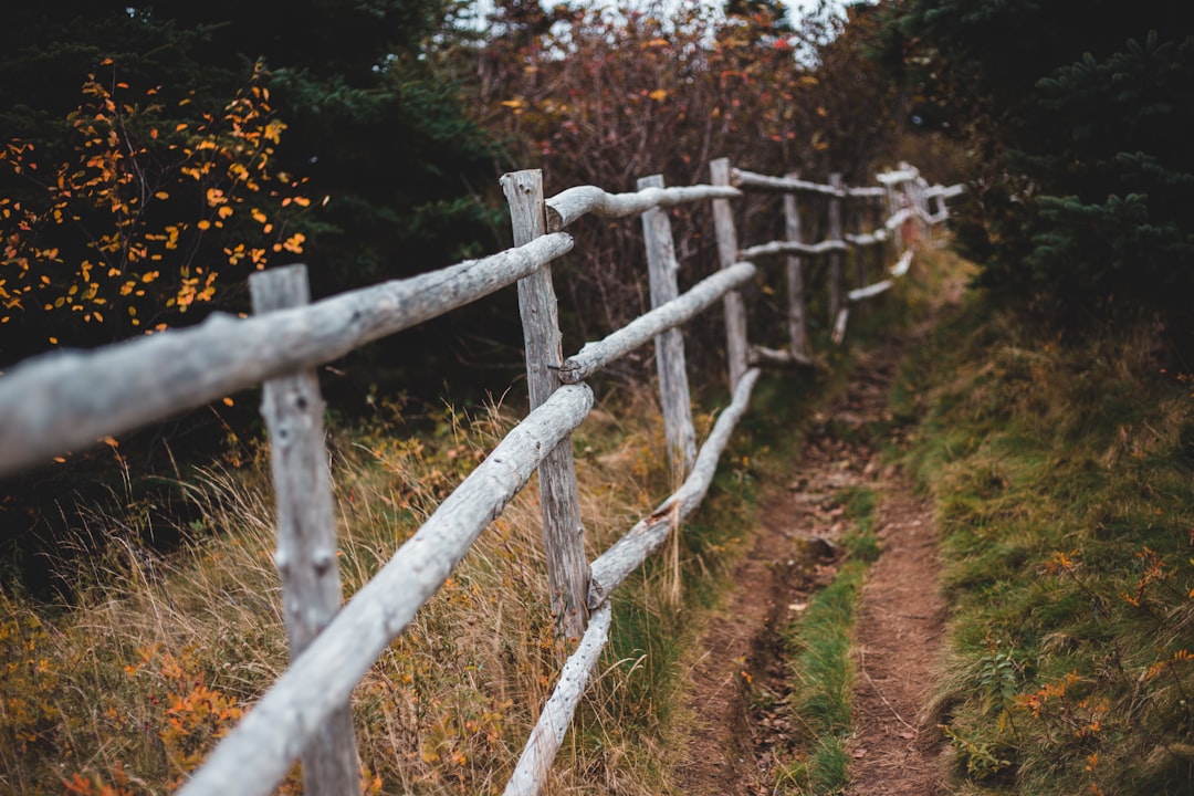 brown wooden fence on brown grass field during daytime