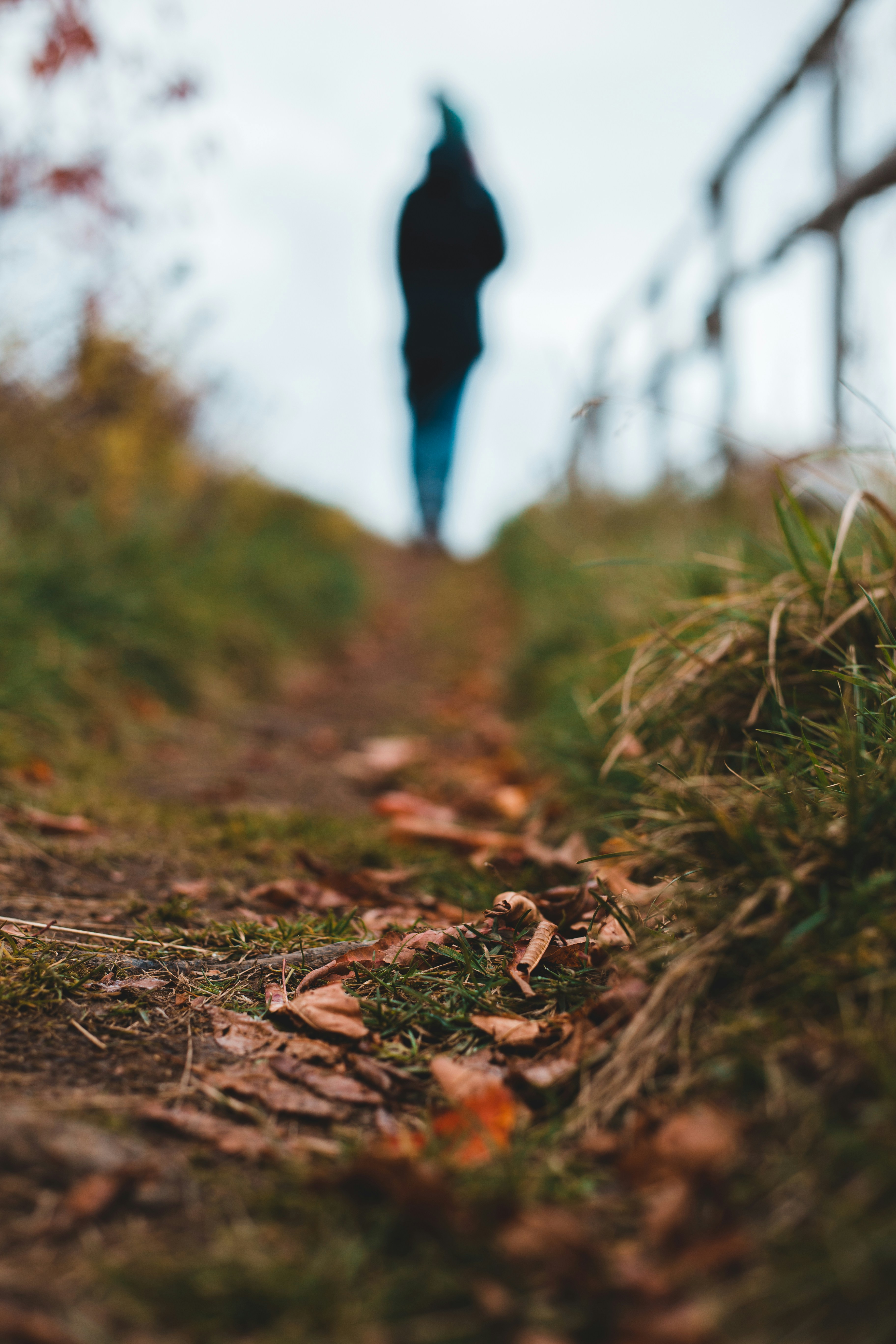 Photo by introspectivedsgn