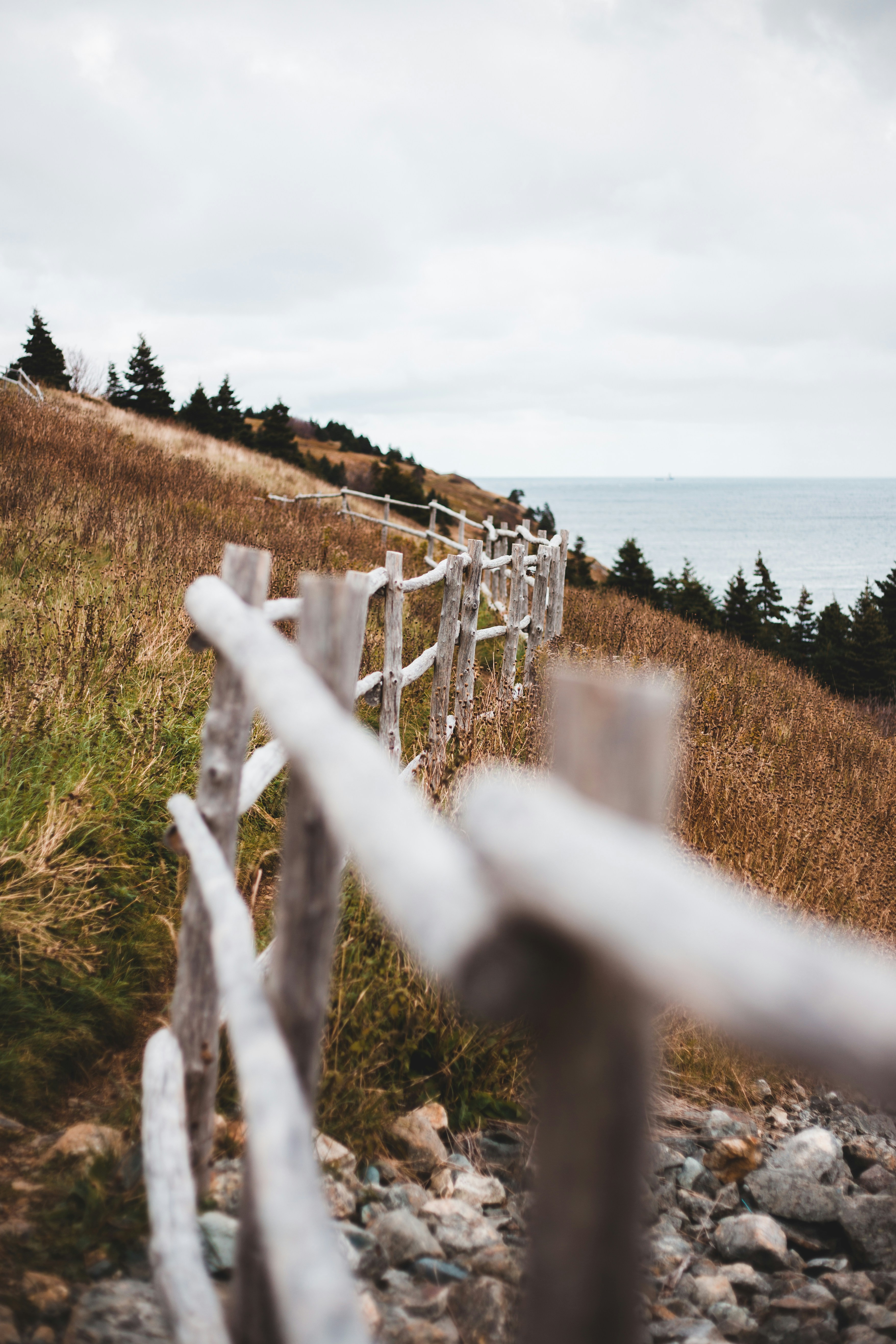 Photo by introspectivedsgn