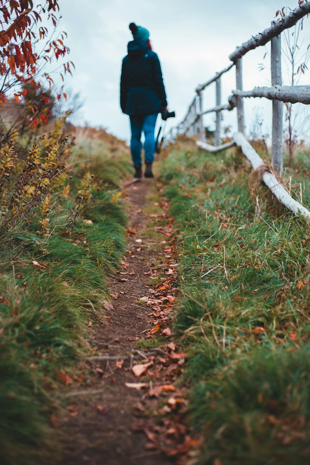 person in black jacket walking on green grass during daytime