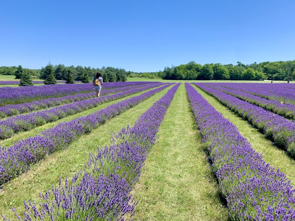 Person, die tagsüber auf einem grünen Grasfeld spazieren geht