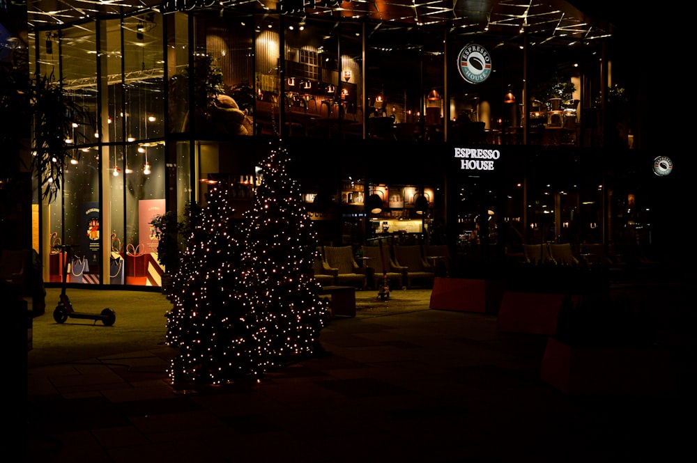 green christmas tree with string lights