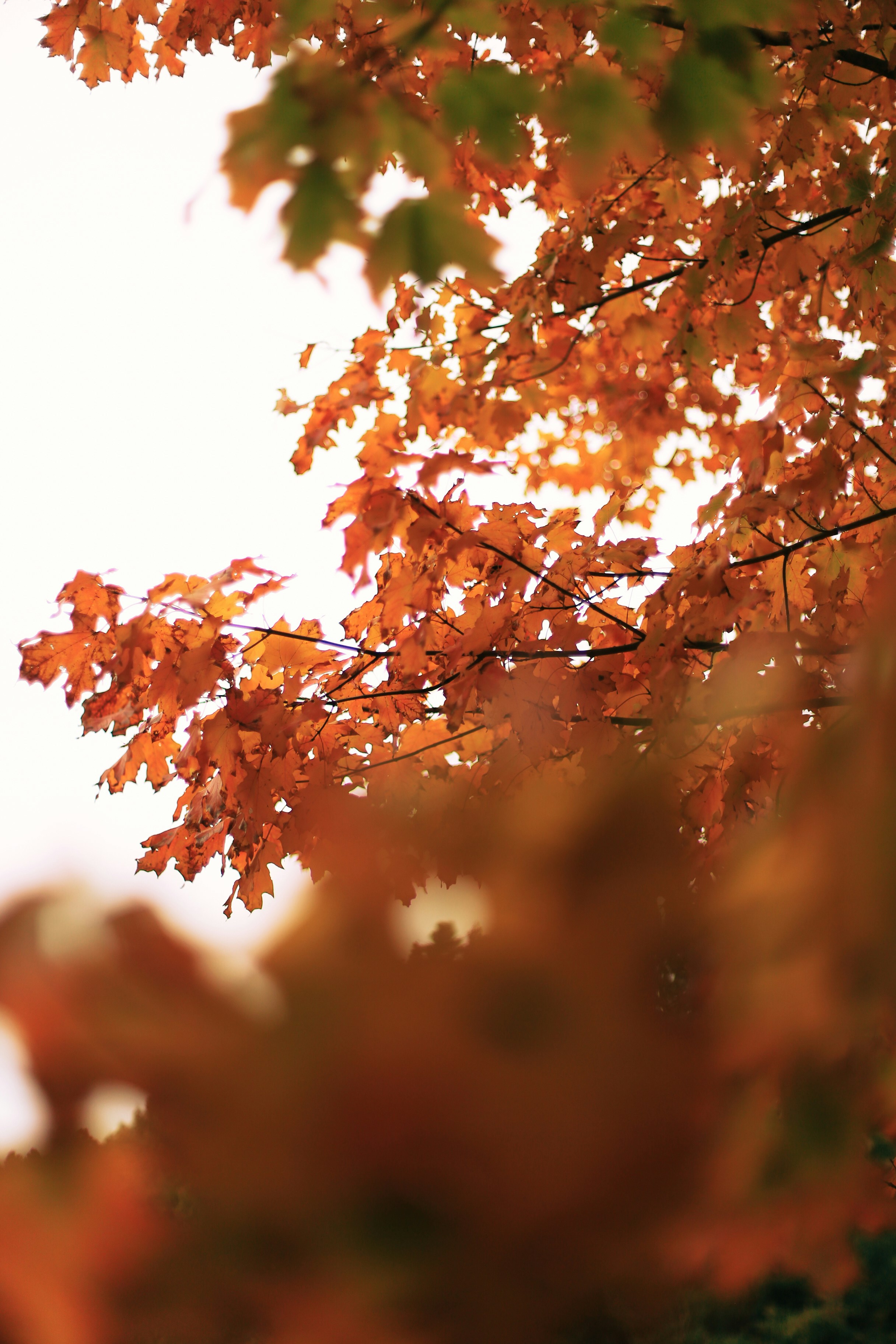 Photo by jessicalfadel