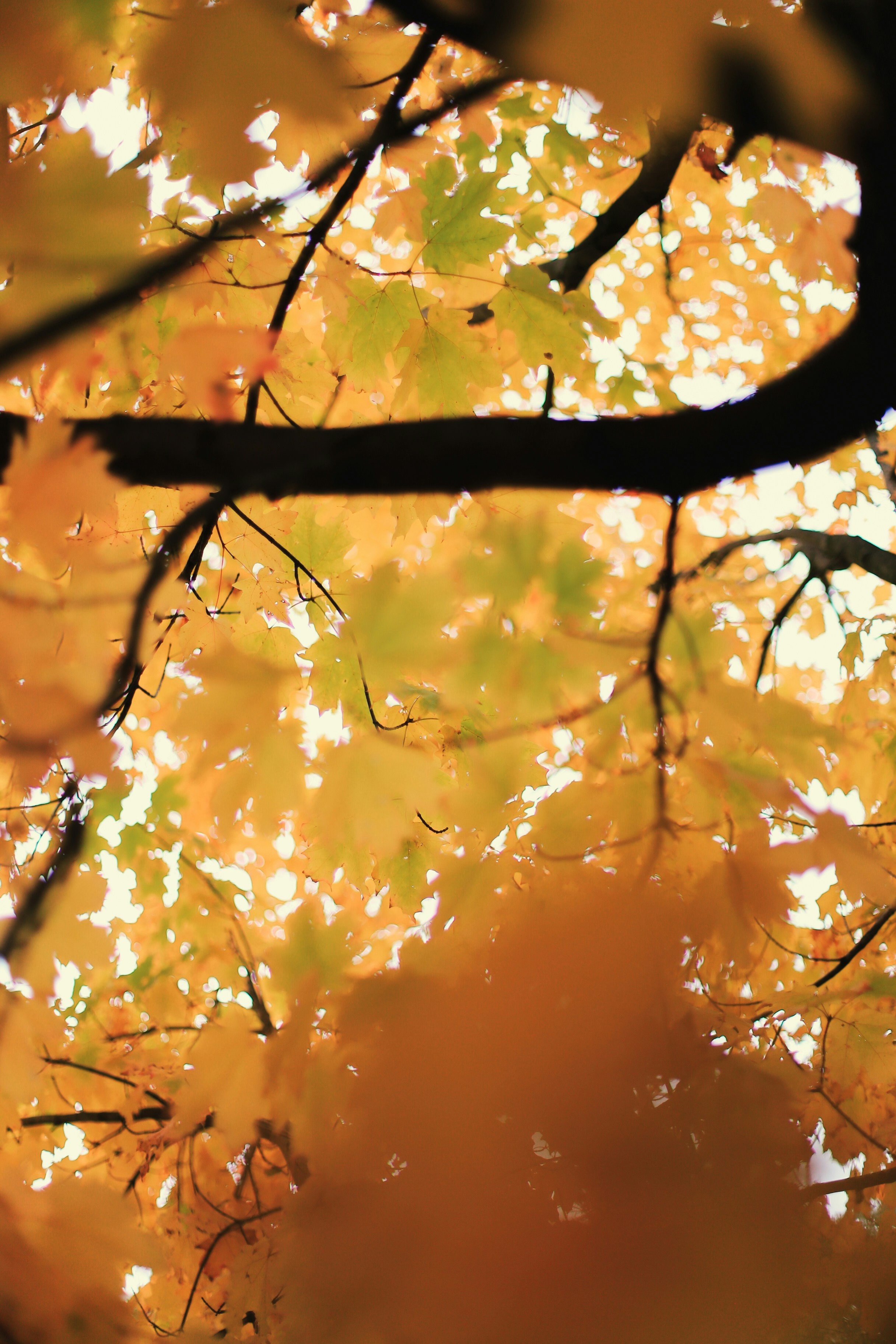 Photo by jessicalfadel