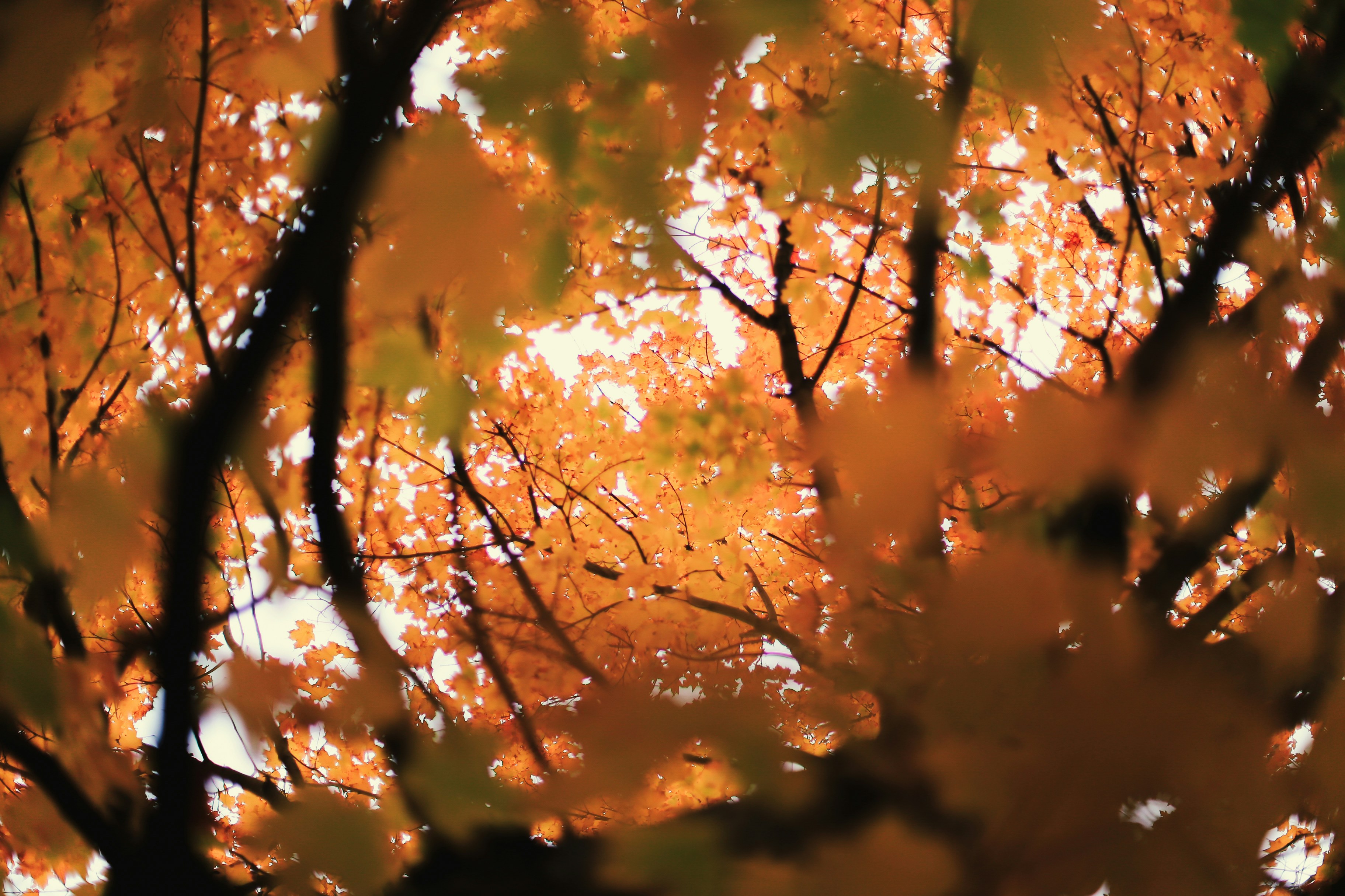 Photo by jessicalfadel