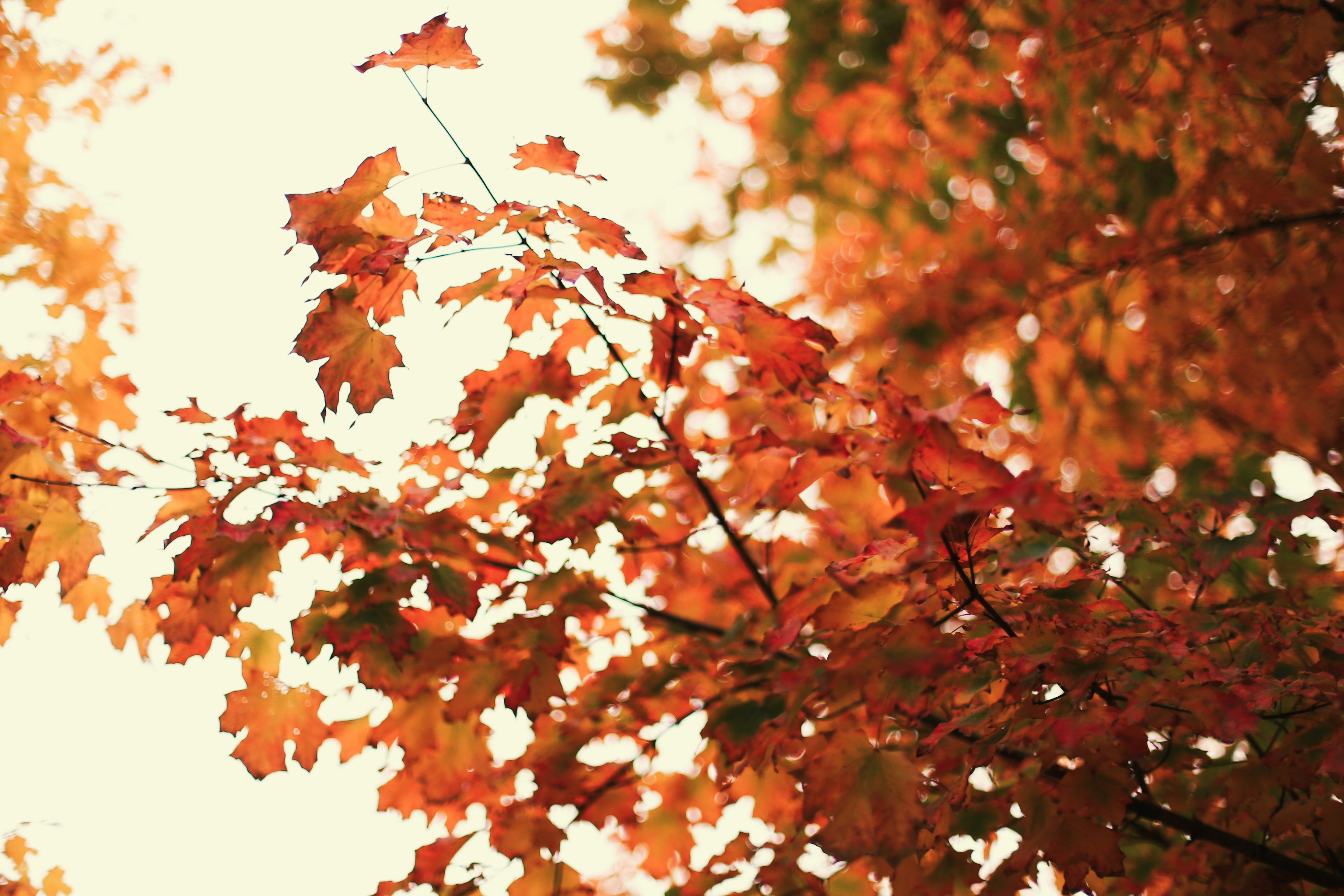 Photo by jessicalfadel