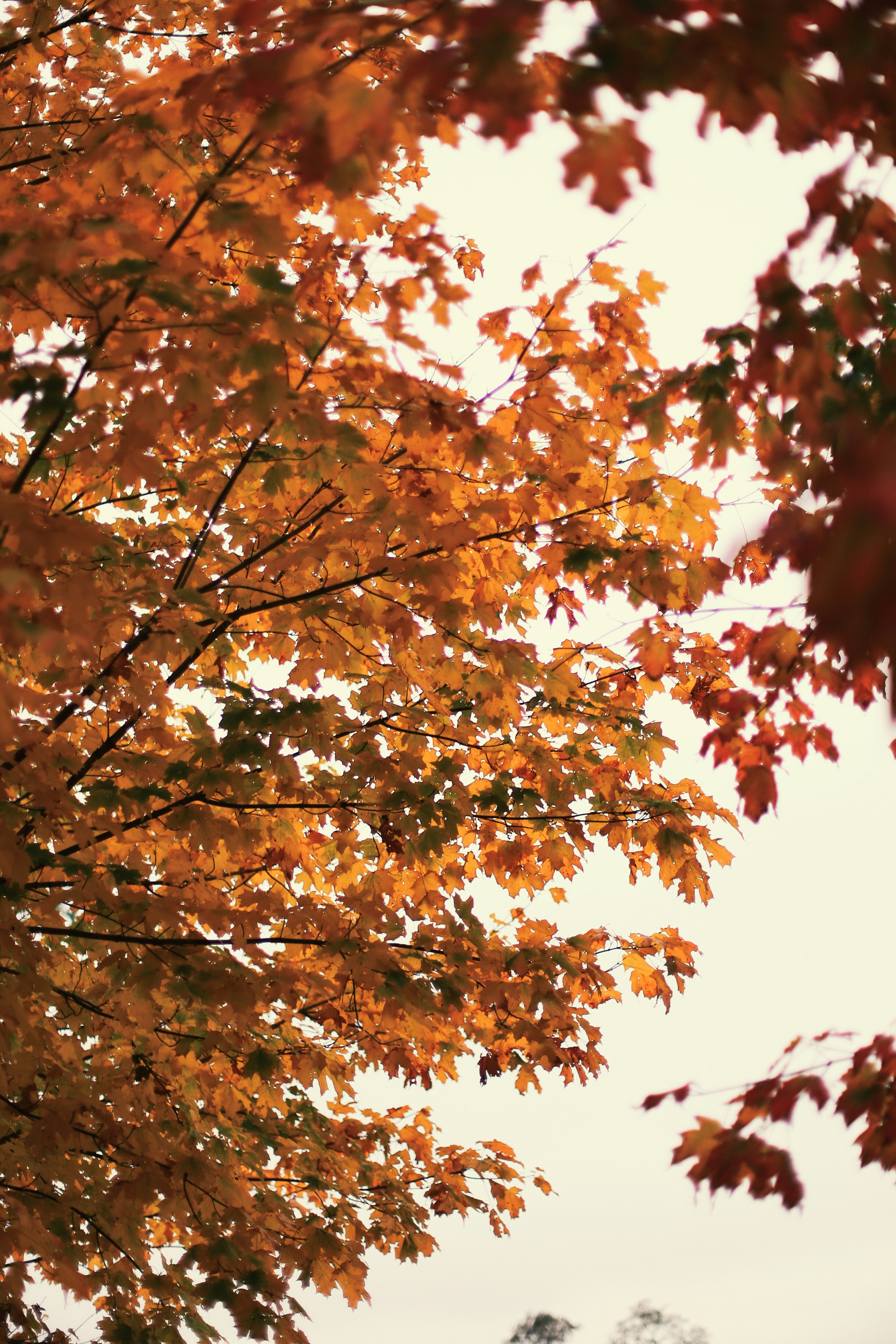 Photo by jessicalfadel