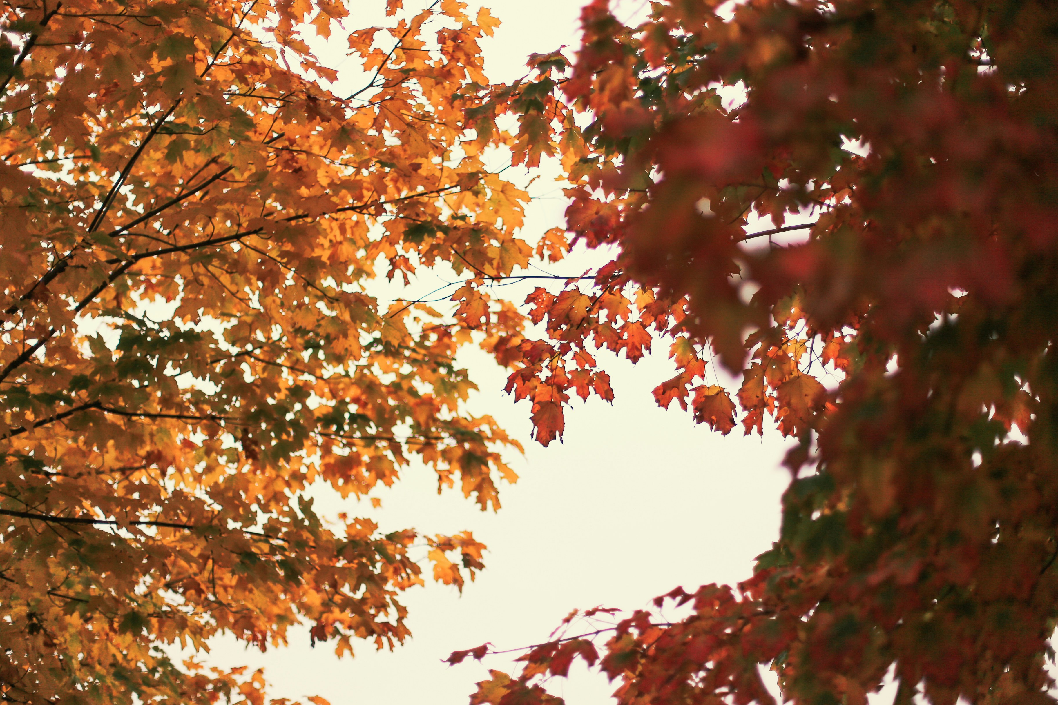 Photo by jessicalfadel