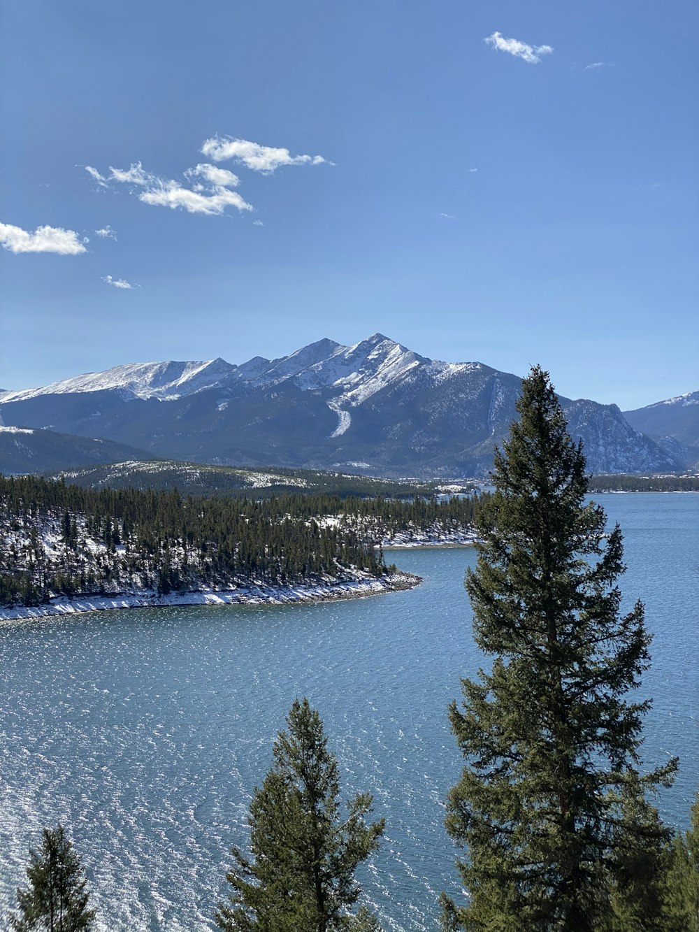 green pine trees near lake and mountain under blue sky during daytime