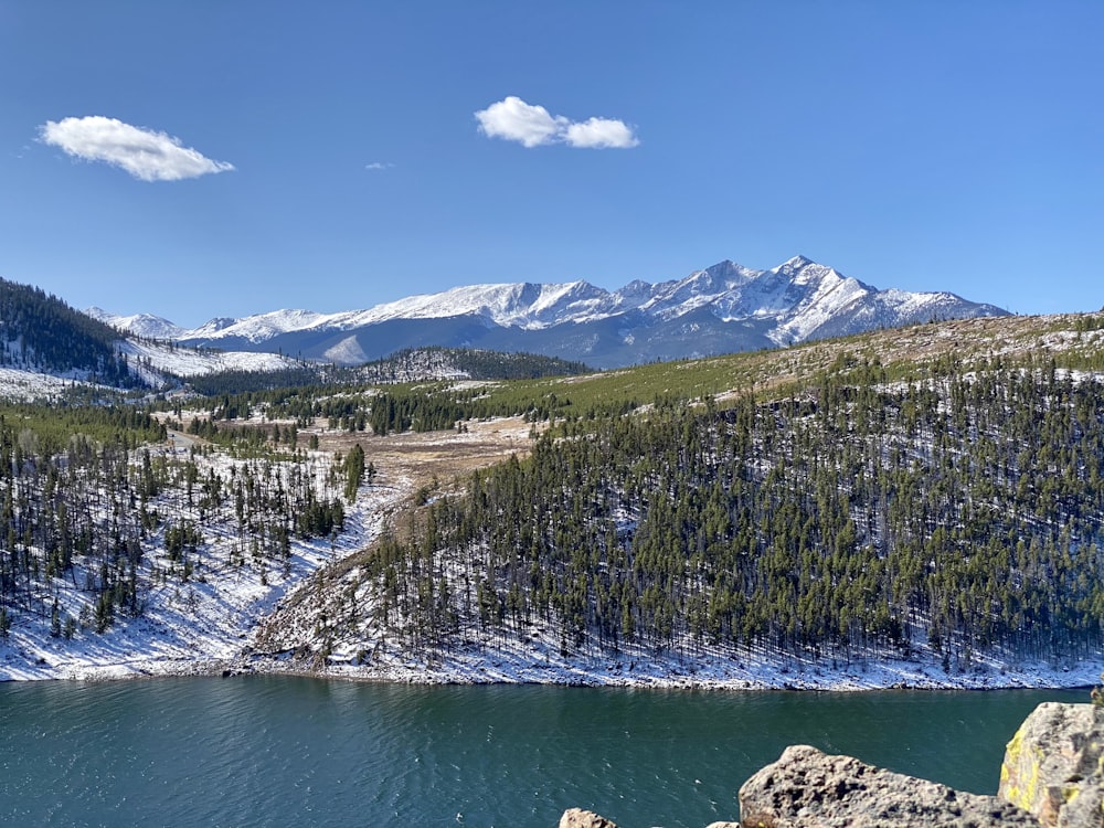 green trees on mountain near body of water during daytime