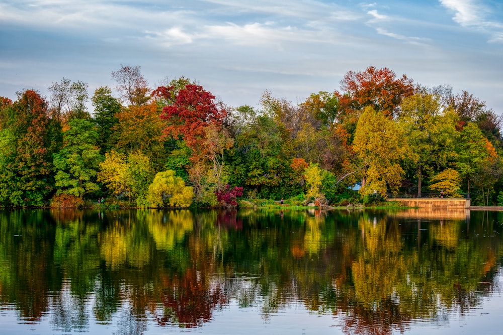 green and red trees beside body of water during daytime