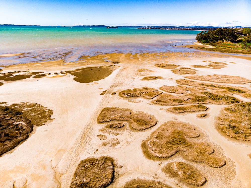 brown sand near body of water during daytime