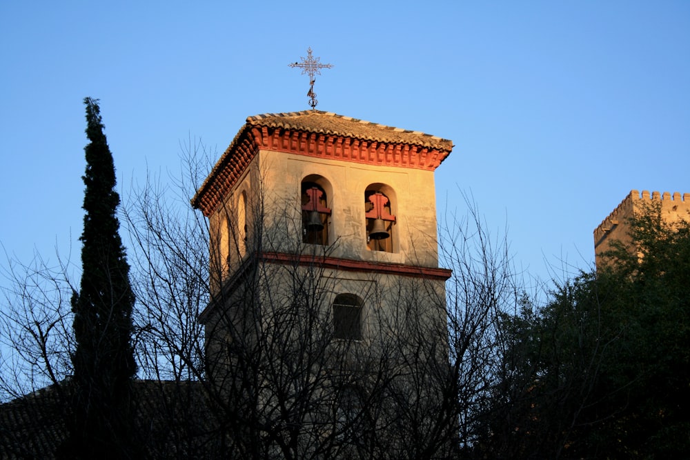 brown and white concrete church