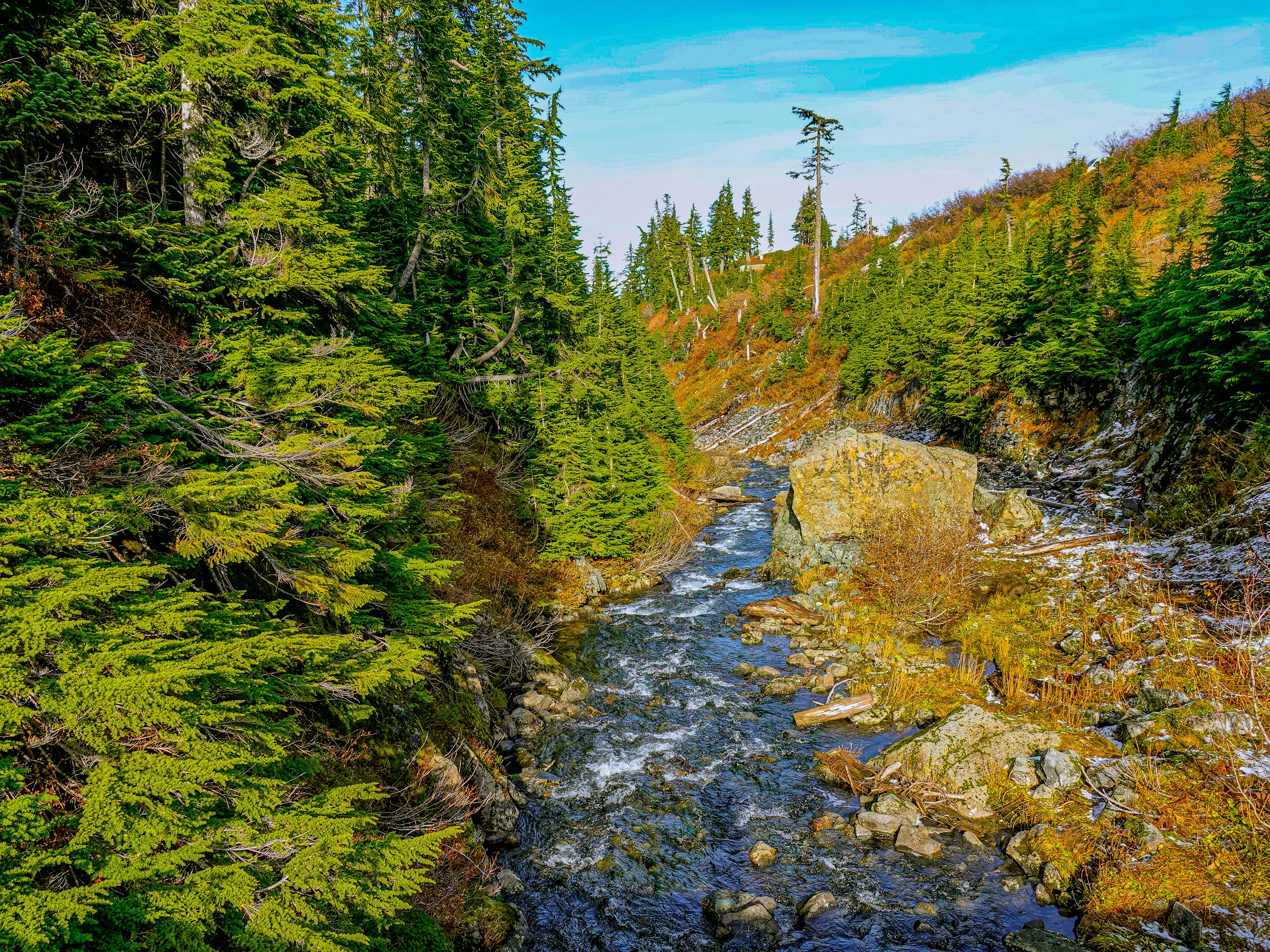 Photo by pavlpolo_official