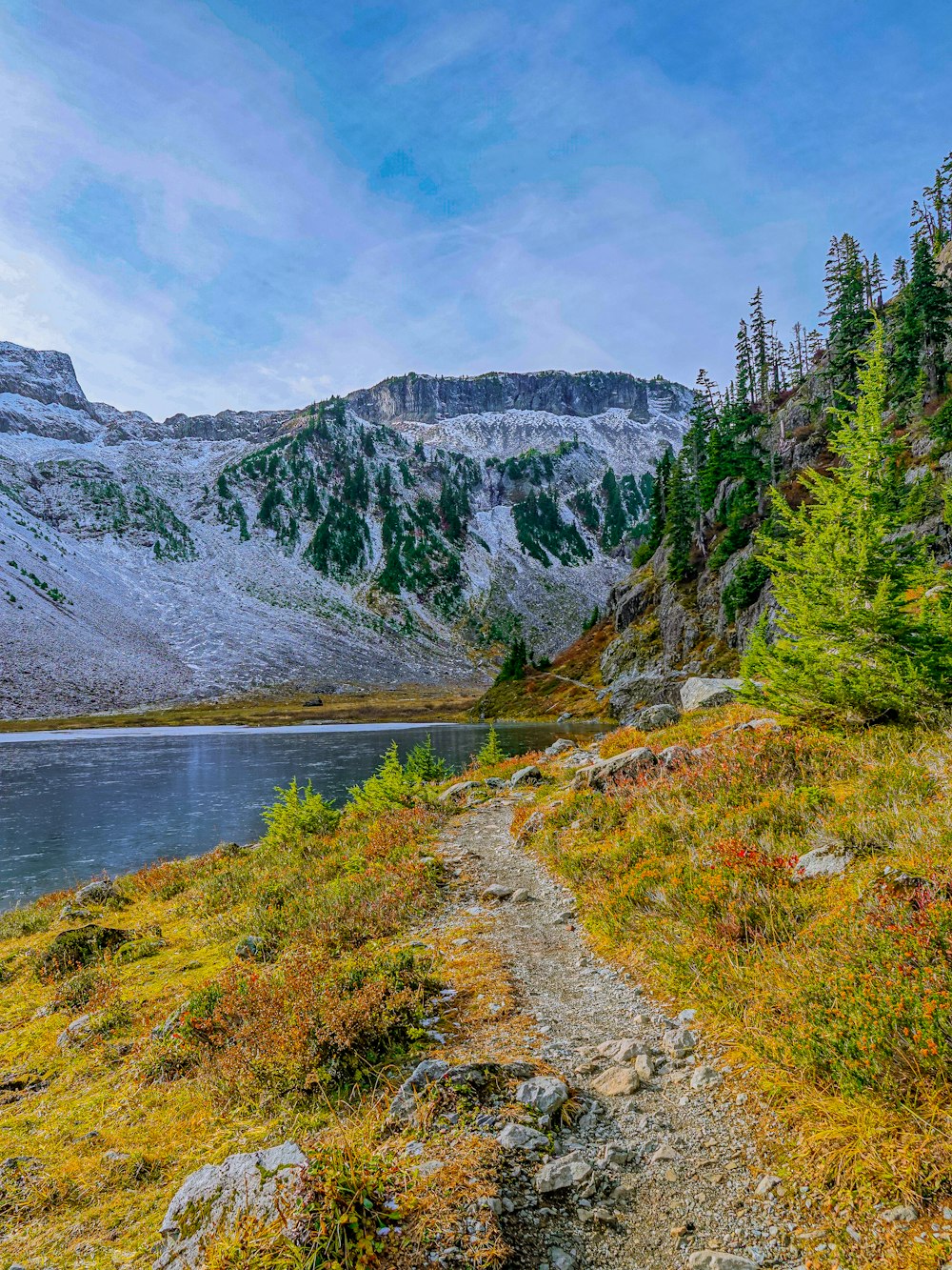 green trees near lake and mountain under blue sky during daytime