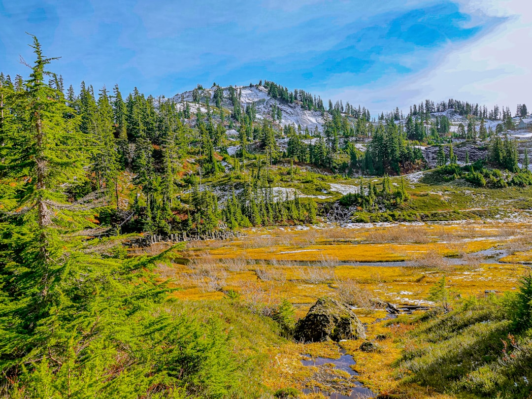 7 Iconic Road Trips Through the