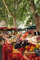 A market scene with an abundance of fresh vegetables and fruits displayed in wooden crates. Large trees provide shade, and vibrant produce such as tomatoes, eggplants, bell peppers, and pumpkins are prominently visible. Chalkboard signs with prices are placed around the goods.