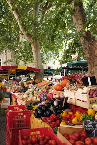 A market scene with an abundance of fresh vegetables and fruits displayed in wooden crates. Large trees provide shade, and vibrant produce such as tomatoes, eggplants, bell peppers, and pumpkins are prominently visible. Chalkboard signs with prices are placed around the goods.