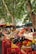 A market scene with an abundance of fresh vegetables and fruits displayed in wooden crates. Large trees provide shade, and vibrant produce such as tomatoes, eggplants, bell peppers, and pumpkins are prominently visible. Chalkboard signs with prices are placed around the goods.