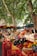 A market scene with an abundance of fresh vegetables and fruits displayed in wooden crates. Large trees provide shade, and vibrant produce such as tomatoes, eggplants, bell peppers, and pumpkins are prominently visible. Chalkboard signs with prices are placed around the goods.