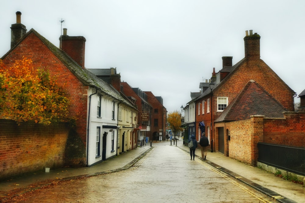 people walking on street between houses during daytime