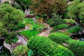 A vibrant landscaped garden with freshly planted greenery and stone pathways.