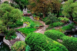 A vibrant, lush green garden with a winding stone pathway bordered by blooming plants.