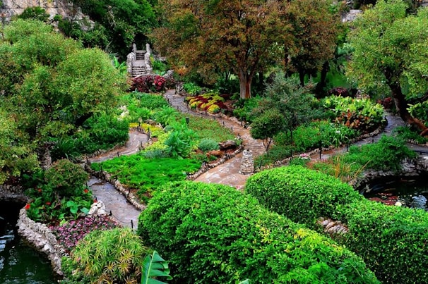 A lush, well-maintained garden with stone pathways and vibrant plants in a residential backyard.