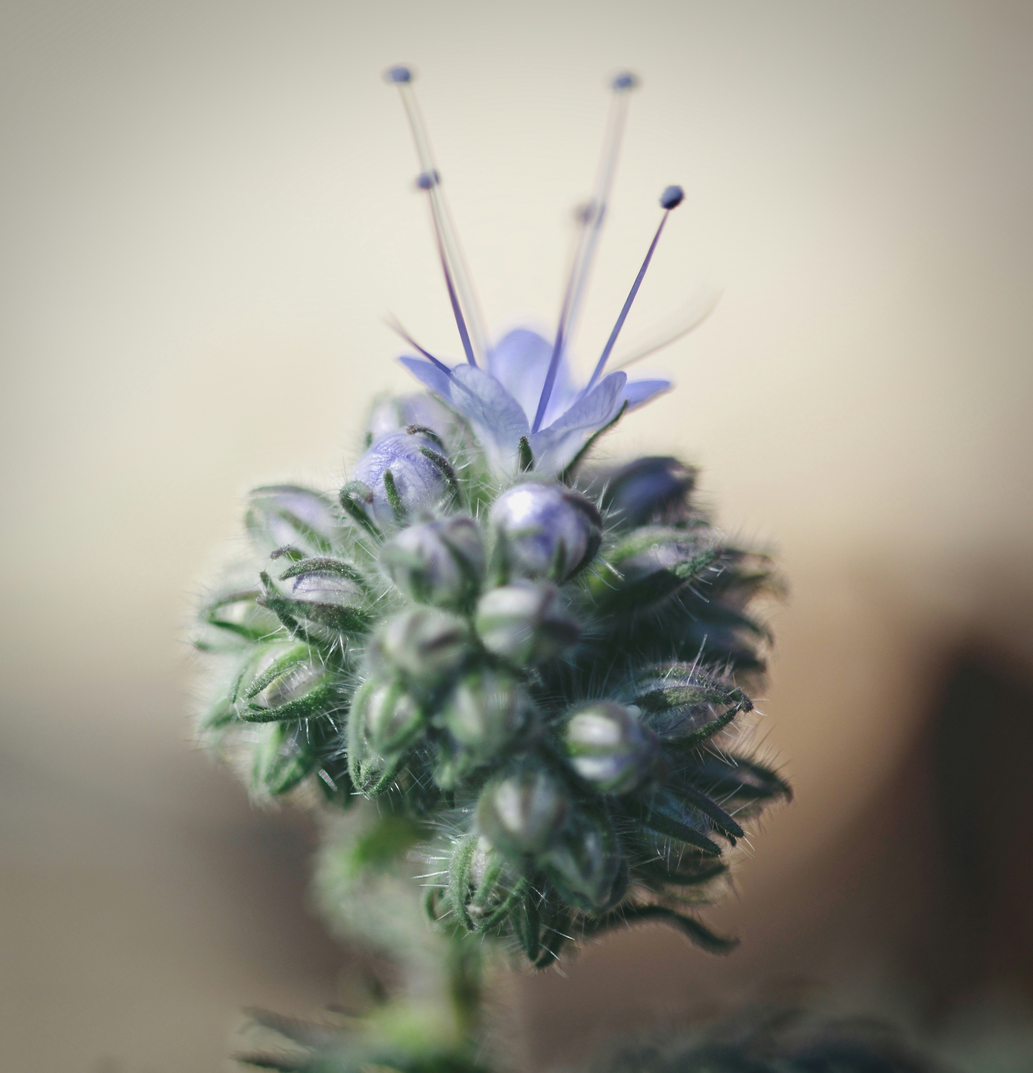 Photo by sue2golden