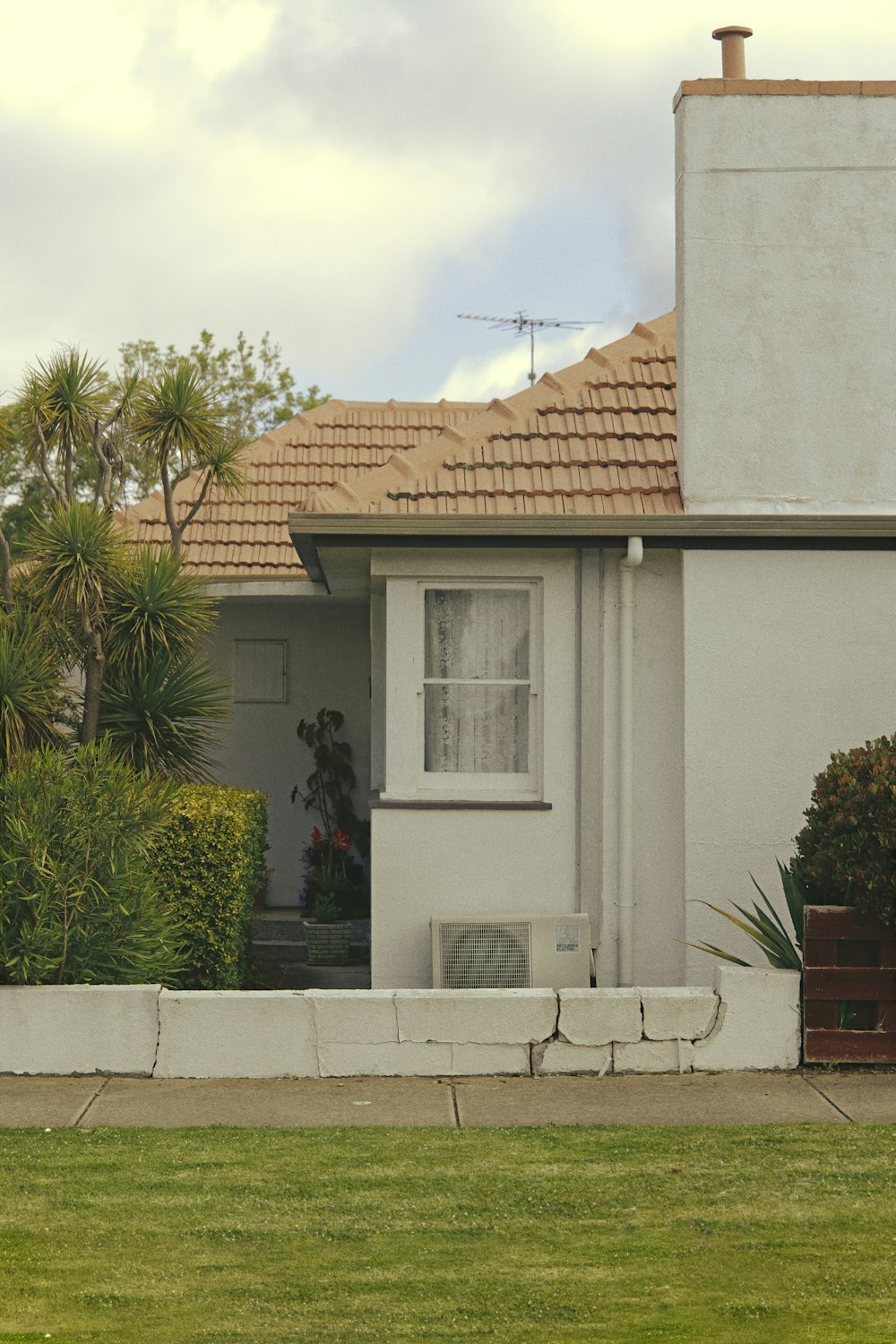 Palmera verde al lado de la casa de hormigón blanco