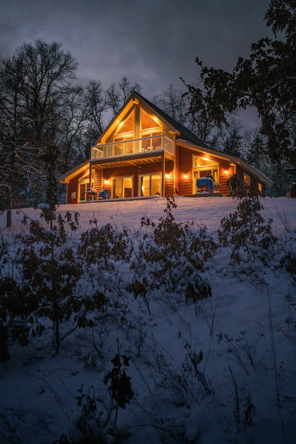 brown wooden house surrounded by trees covered with snow during night time