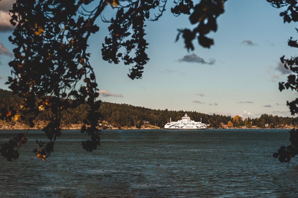 Bateau blanc sur l’eau près des arbres pendant la journée