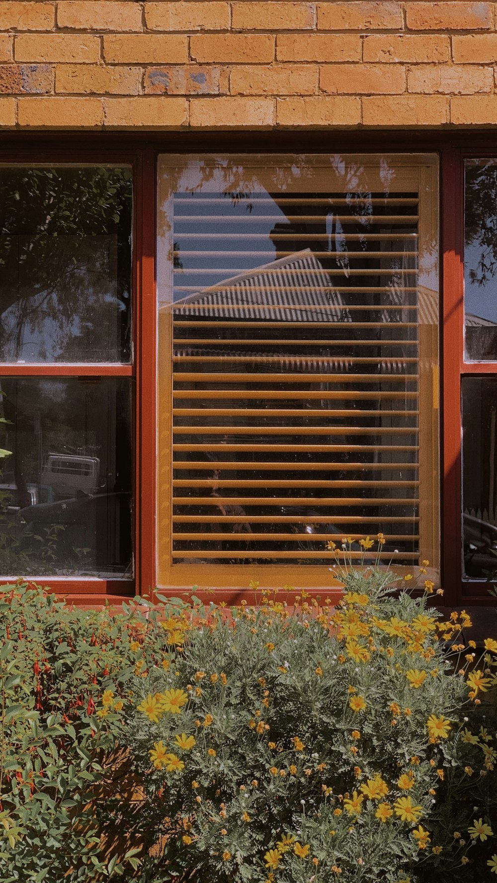 brown wooden window frame with white and red flowers