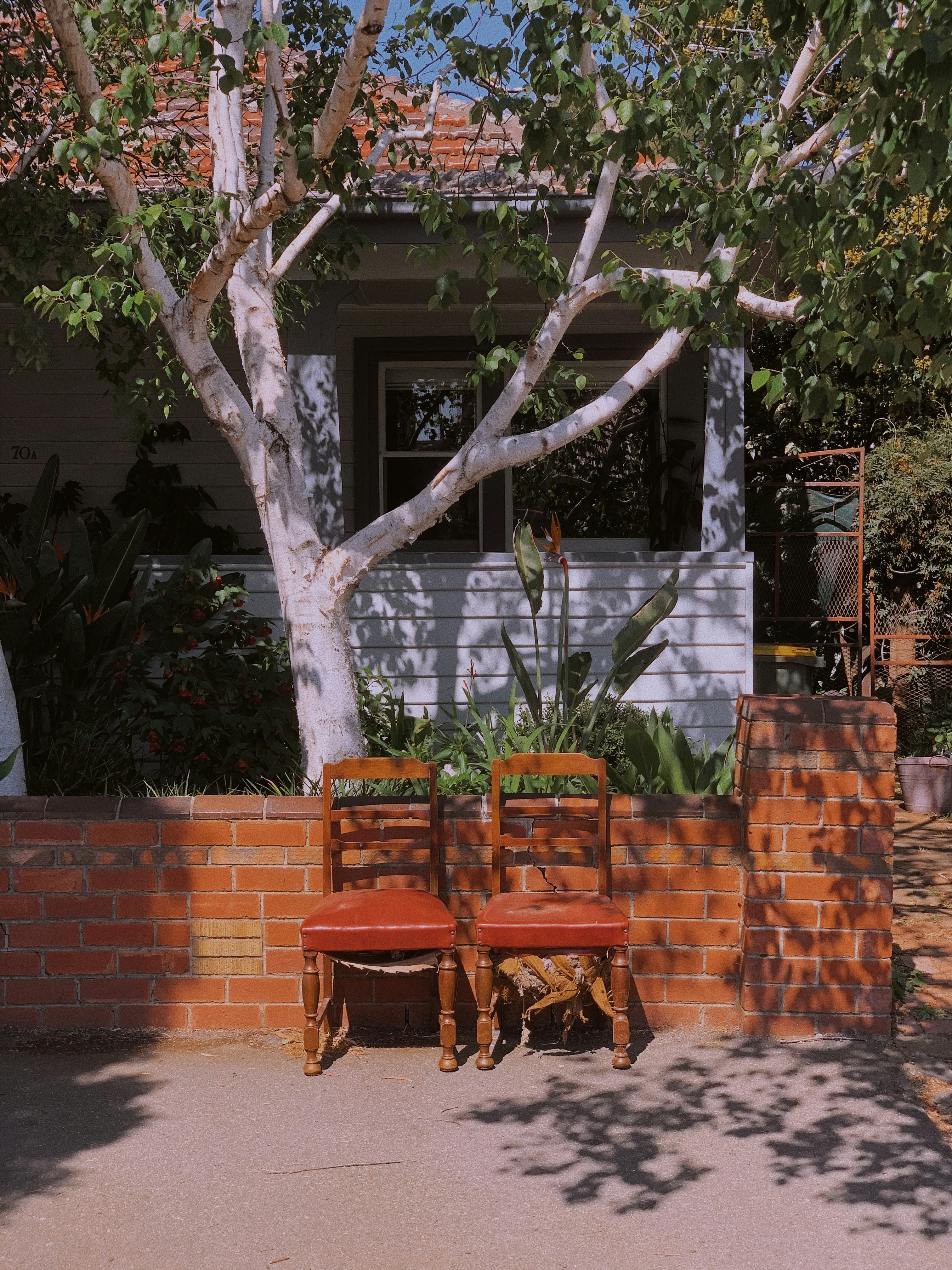 brown wooden armchairs beside green leaf tree during daytime