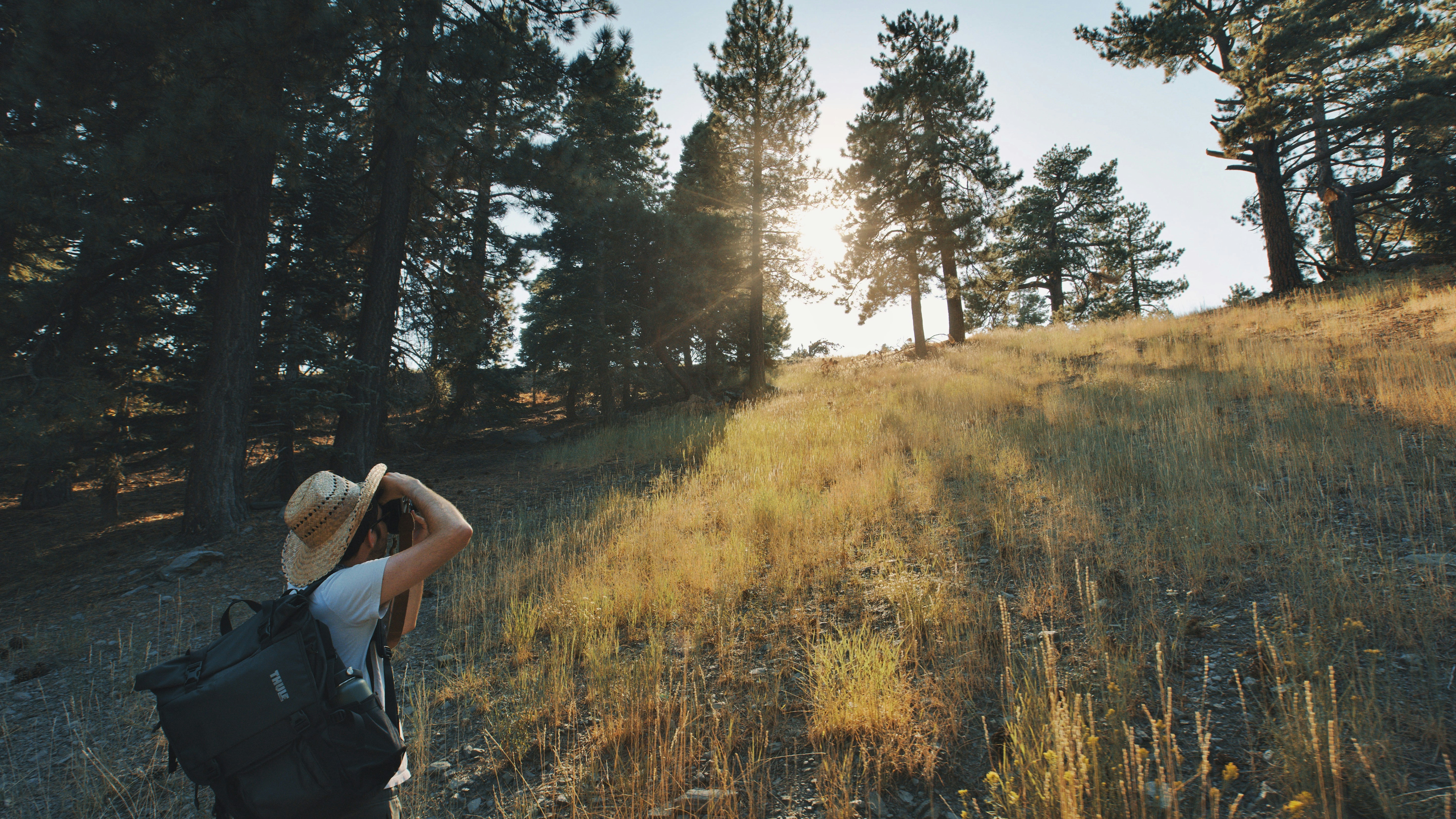 man in grey t-shirt and black shorts walking on brown grass field during daytime, 