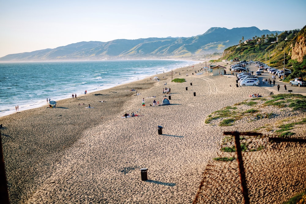 people on beach during daytime