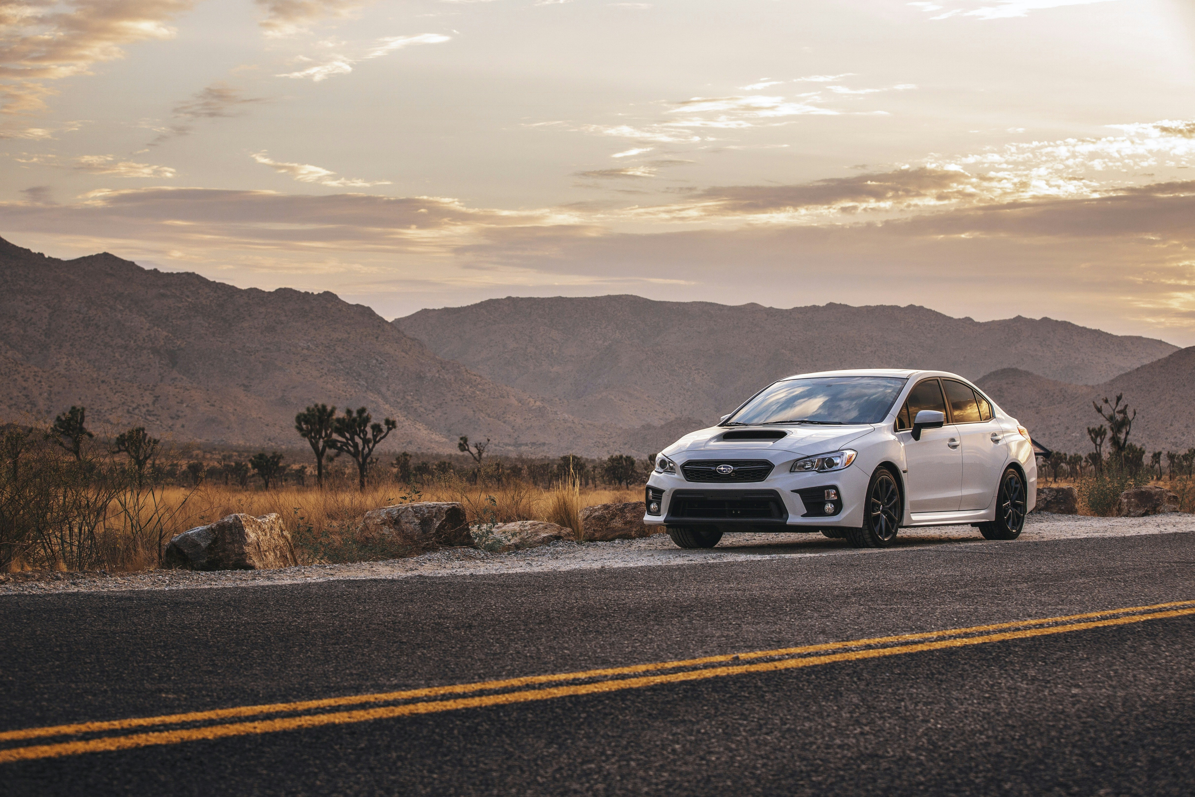 Subaru Dominates iSpot's Ranking of Most-Seen Auto TV Ads