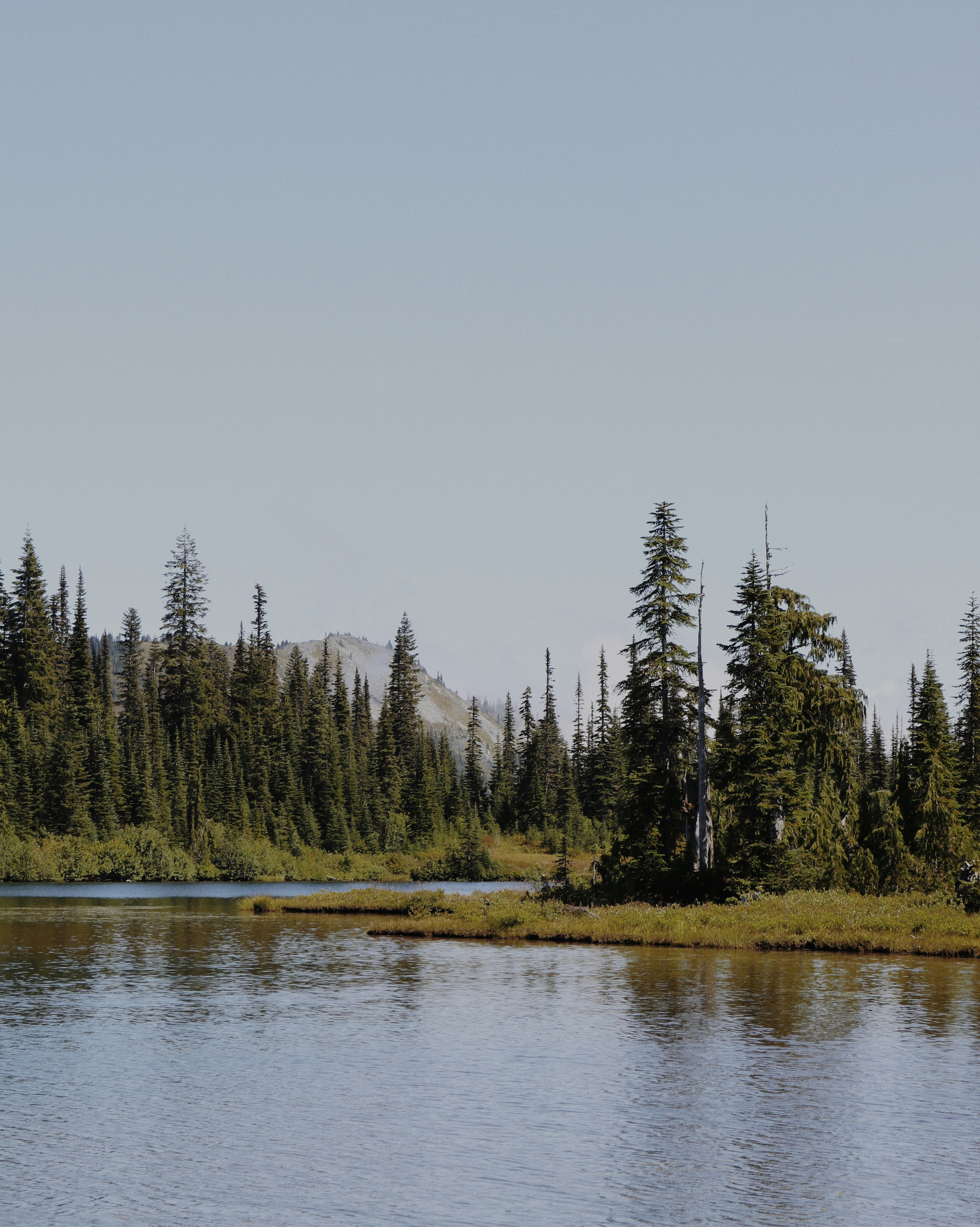 Photo by introvertgoesoutside