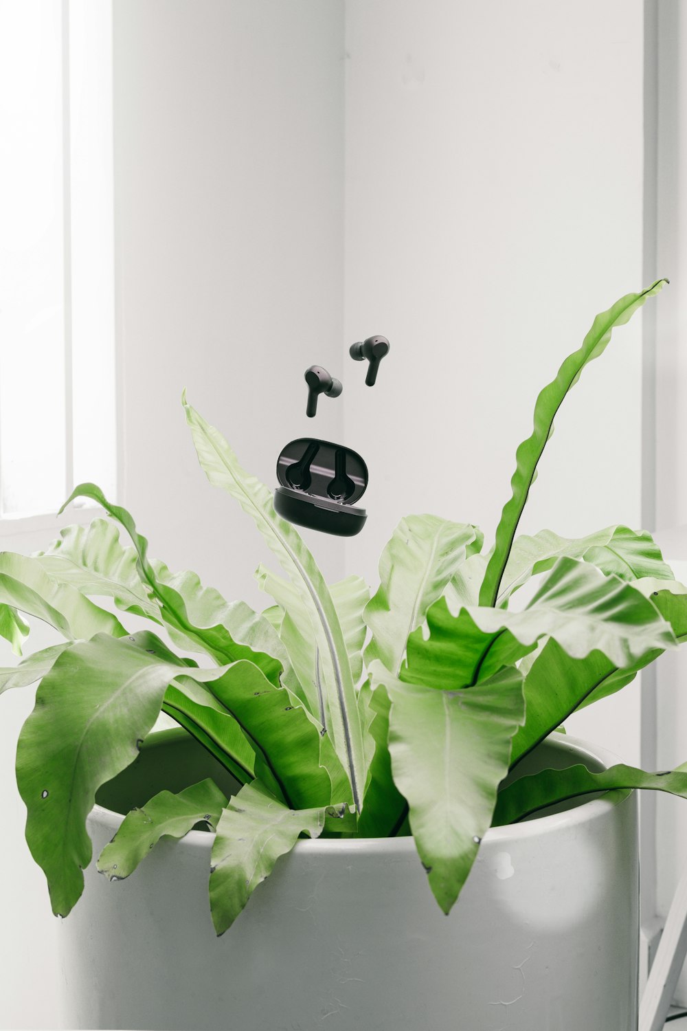 green plant on white ceramic tile