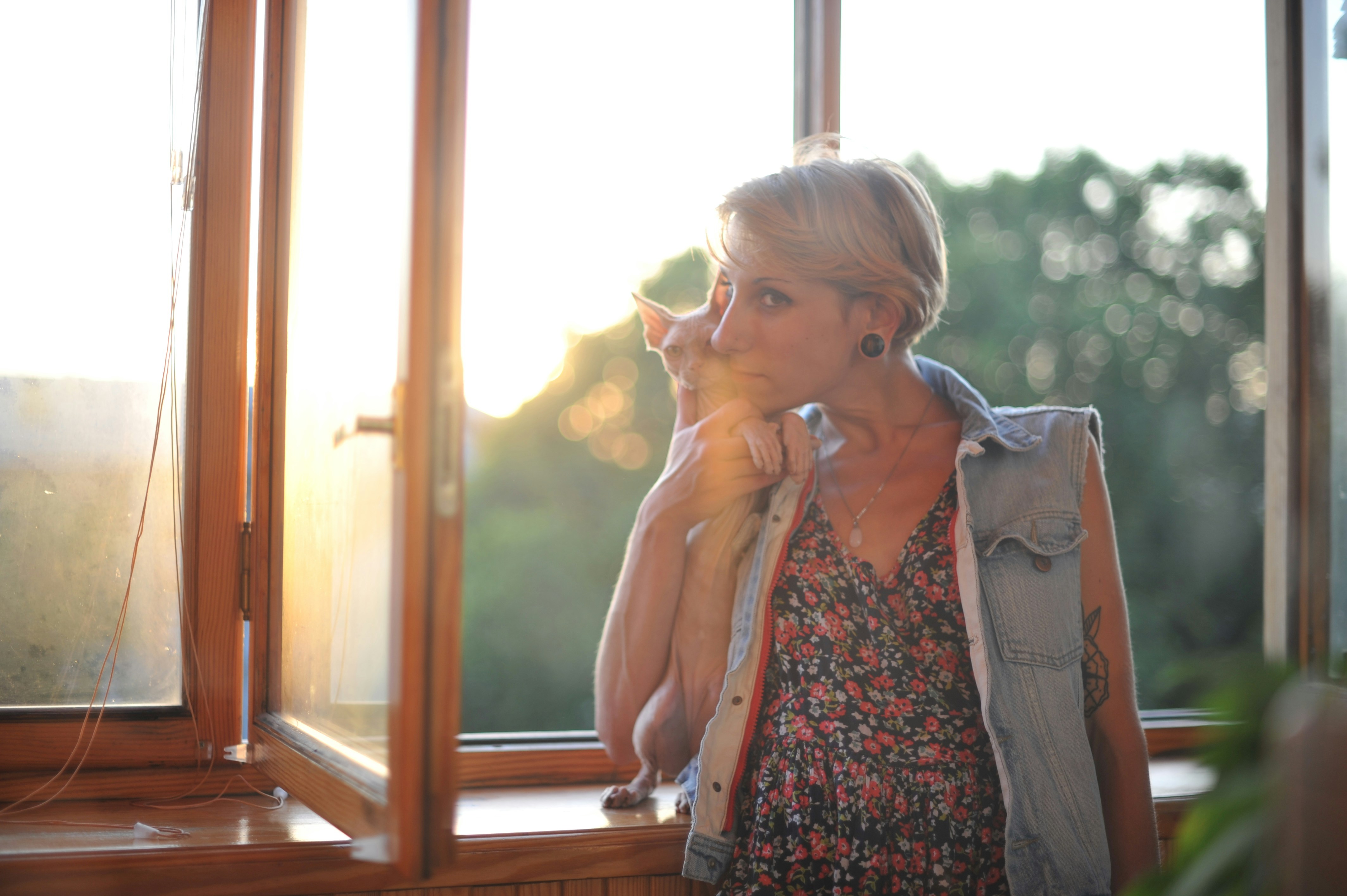 Sphynx Cats and Human Bonding (image credits: unsplash)