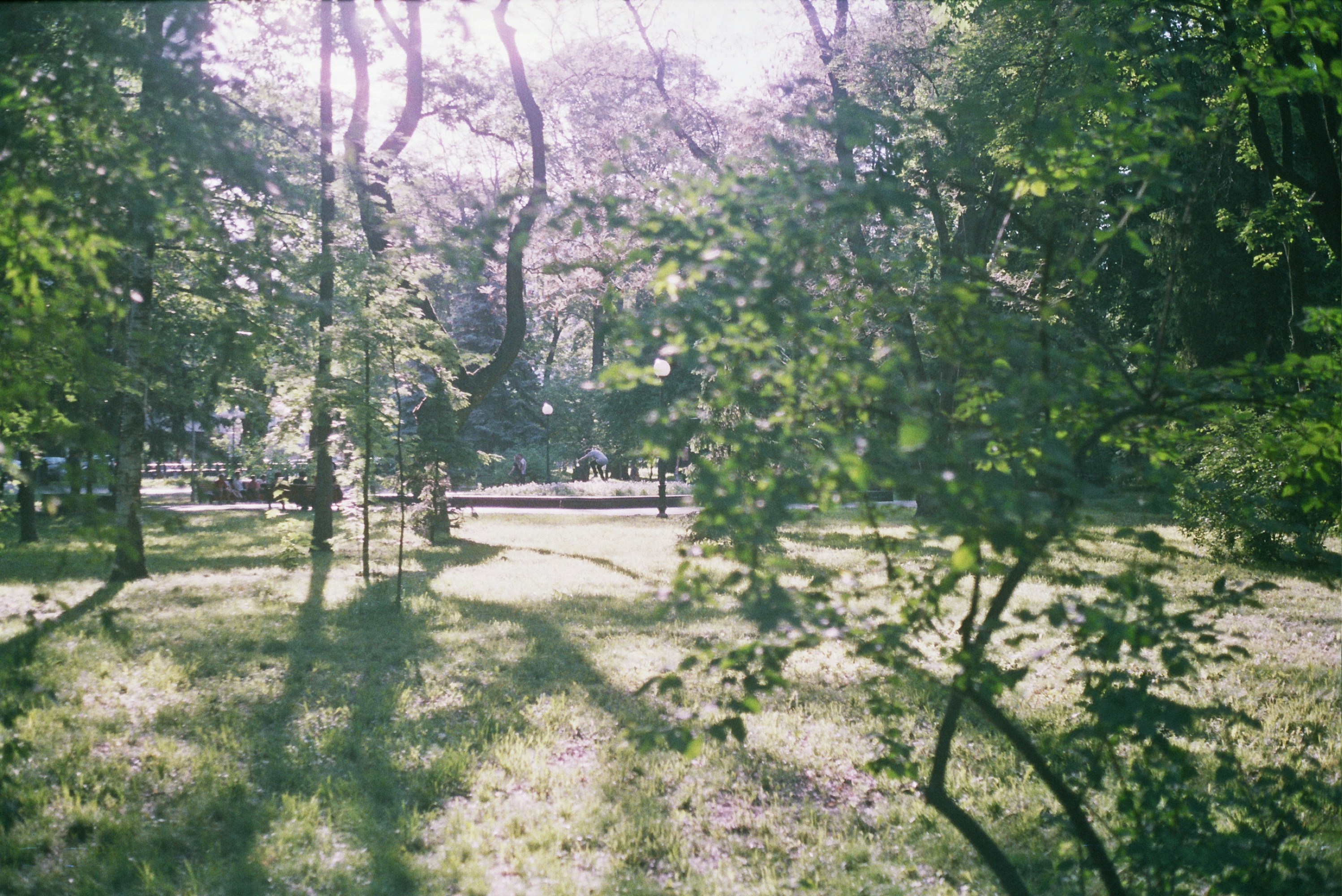 Photo by juliarekamie