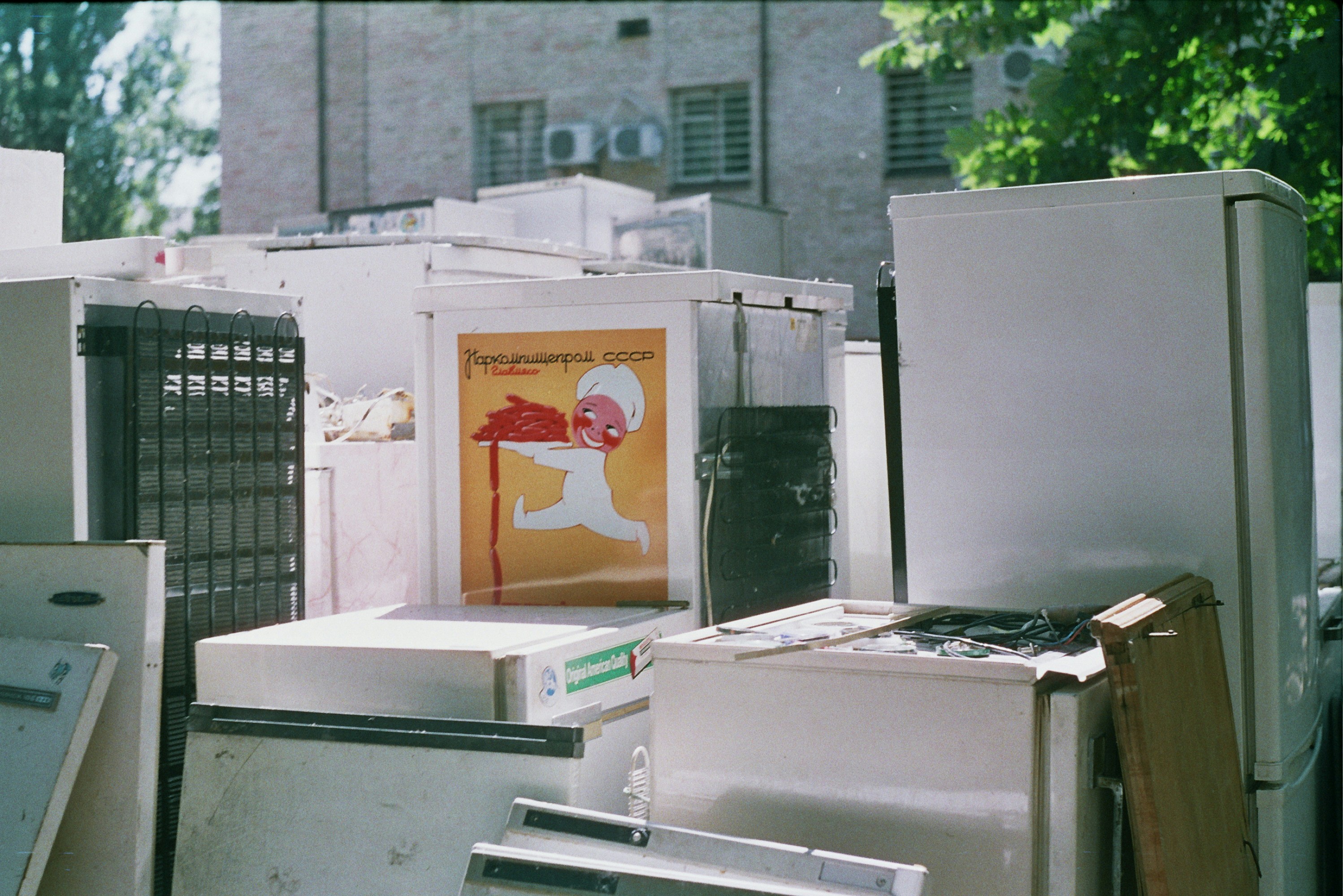 35mm Vibes | FED5V Camera | Film Scanned