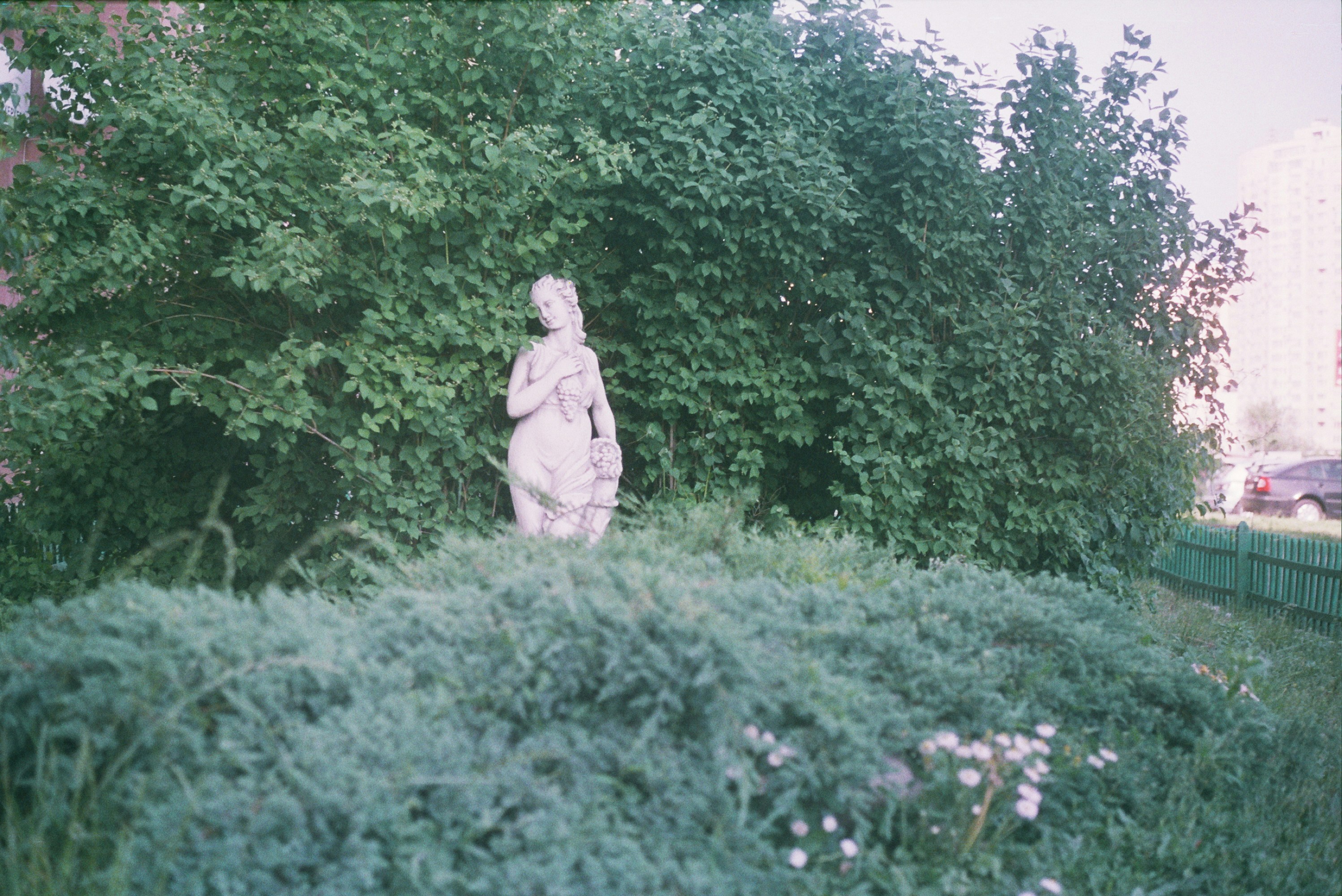 Photo by juliarekamie