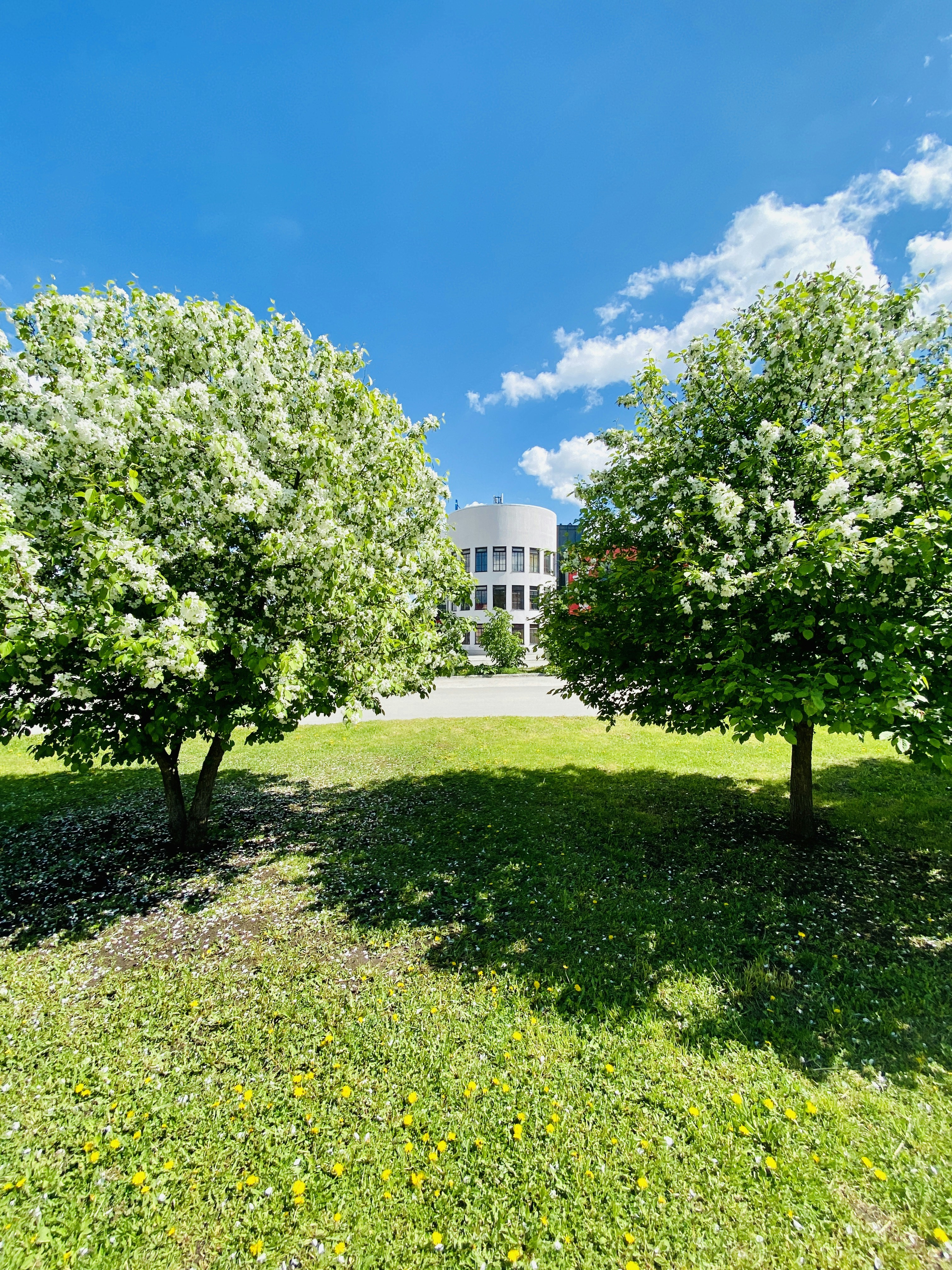 photo-1604219392591-e96549aef944?ixid=M3wxMjA3fDB8MXxzZWFyY2h8NTJ8fHdoYXQlMjB3YXMlMjA4JTIwbW9udGhzJTIwYWdvJTIwZnJvbSUyMHRvZGF5fGVufDB8fHx8MTczNzQxMzMyOXww%5Cu0026ixlib=rb-4.0.3