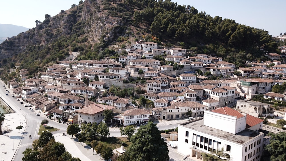 white and brown concrete buildings near green trees during daytime