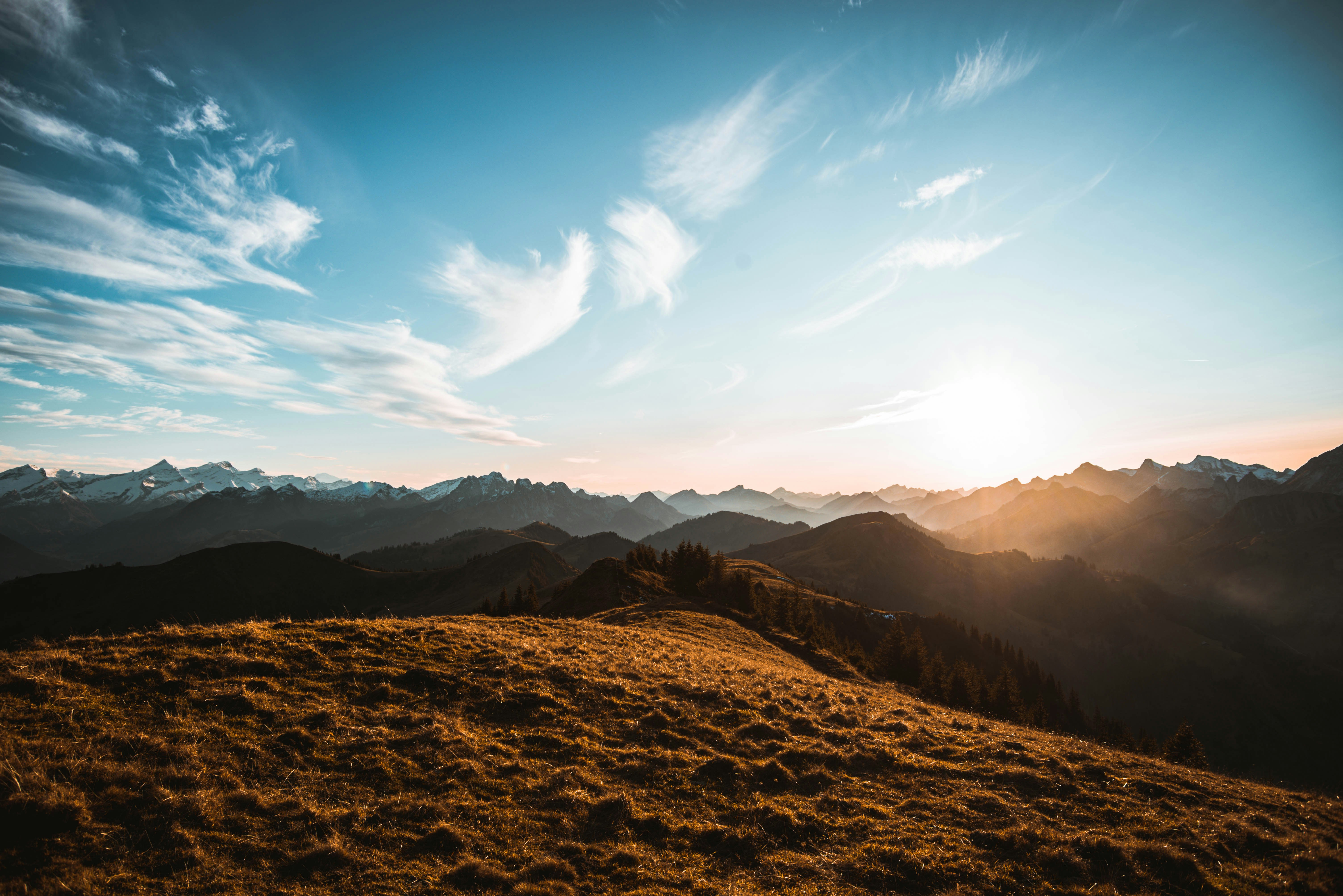 Photo by sven_pieren