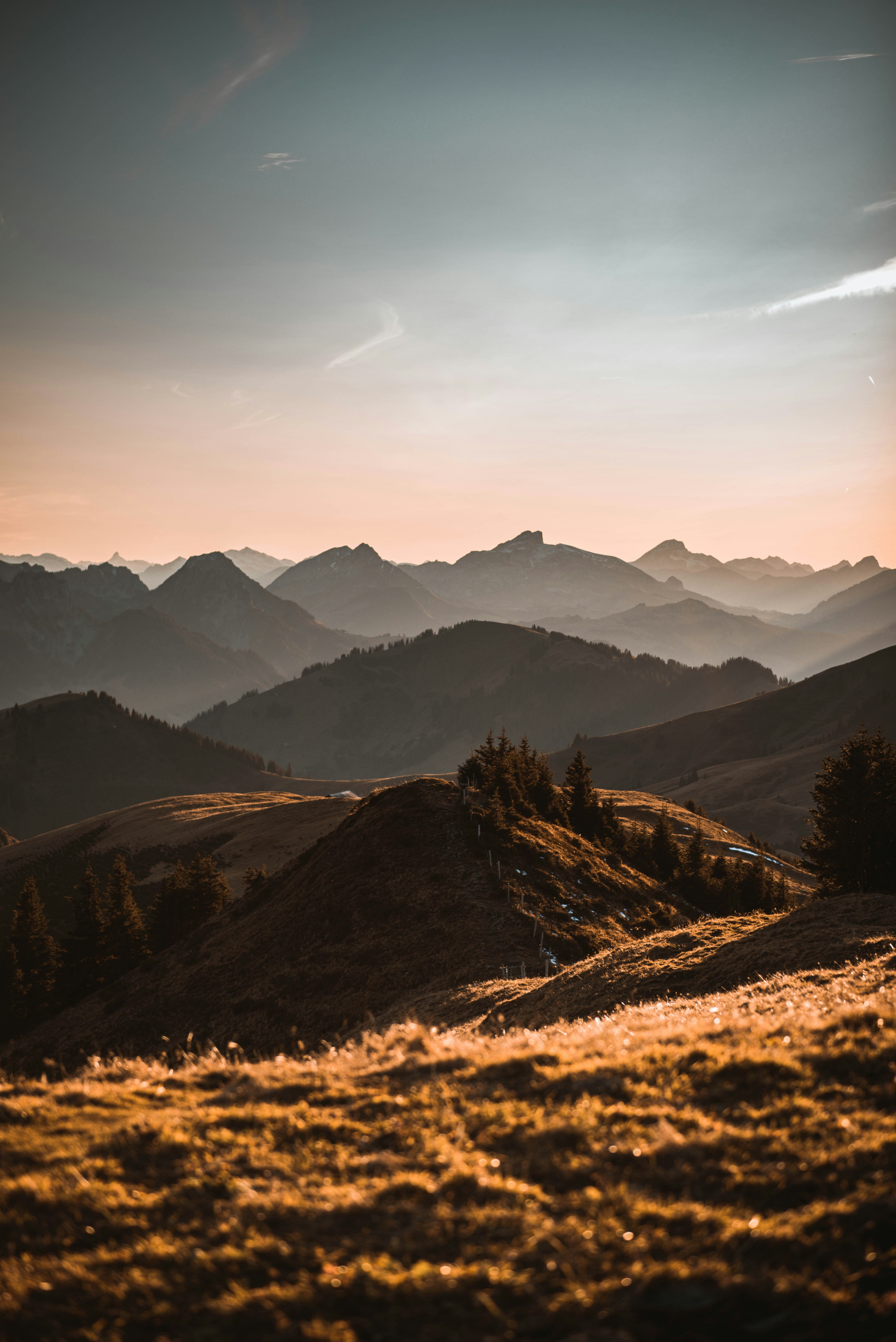 Photo by sven_pieren