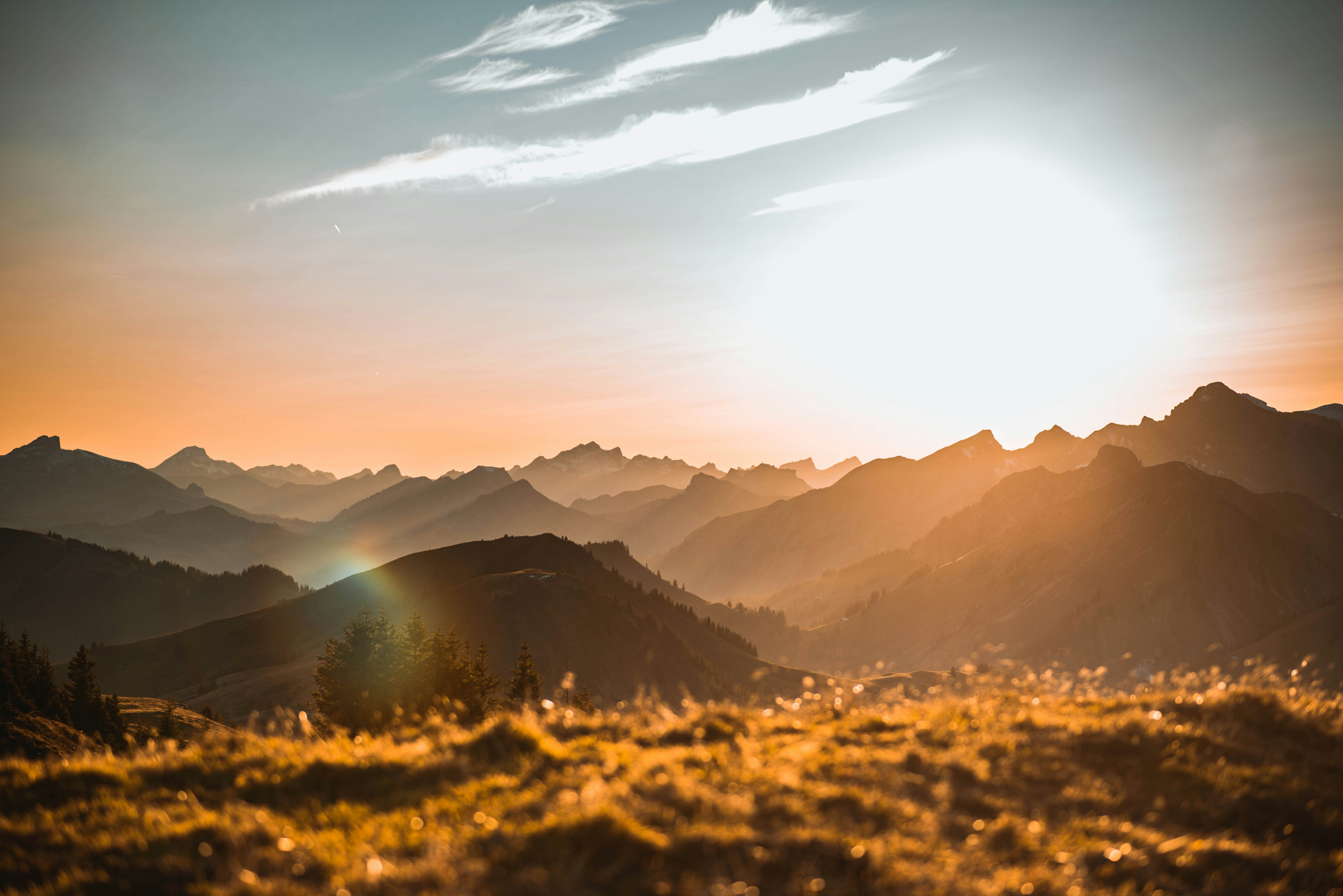 Photo by sven_pieren